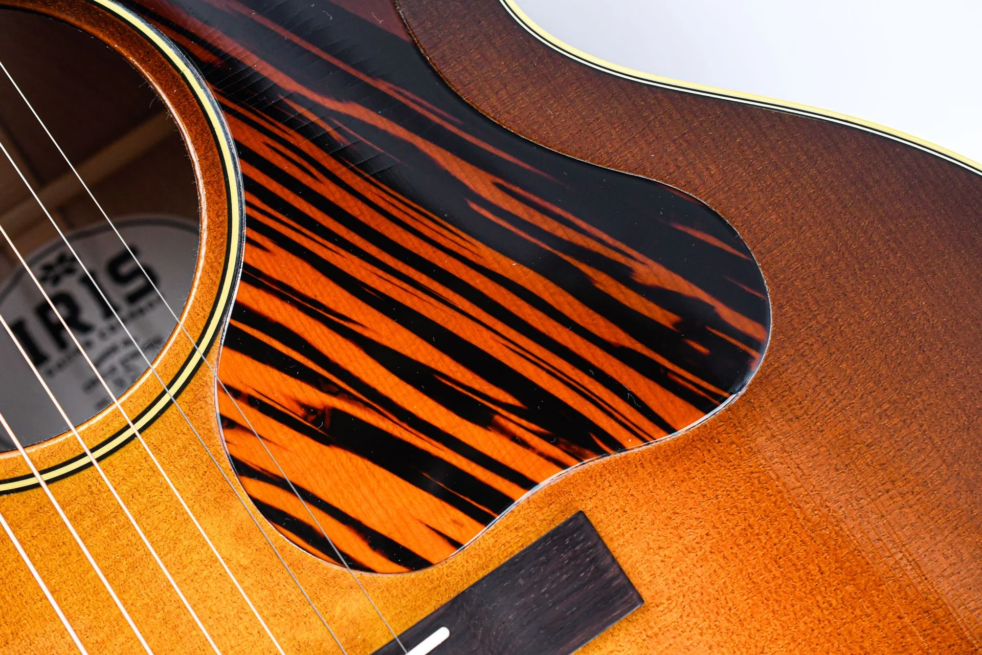 Iris ND200 Flamed Maple Relic - Image 12