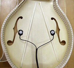 K&K Mandolin Twin Fusion Pickup - Image 3