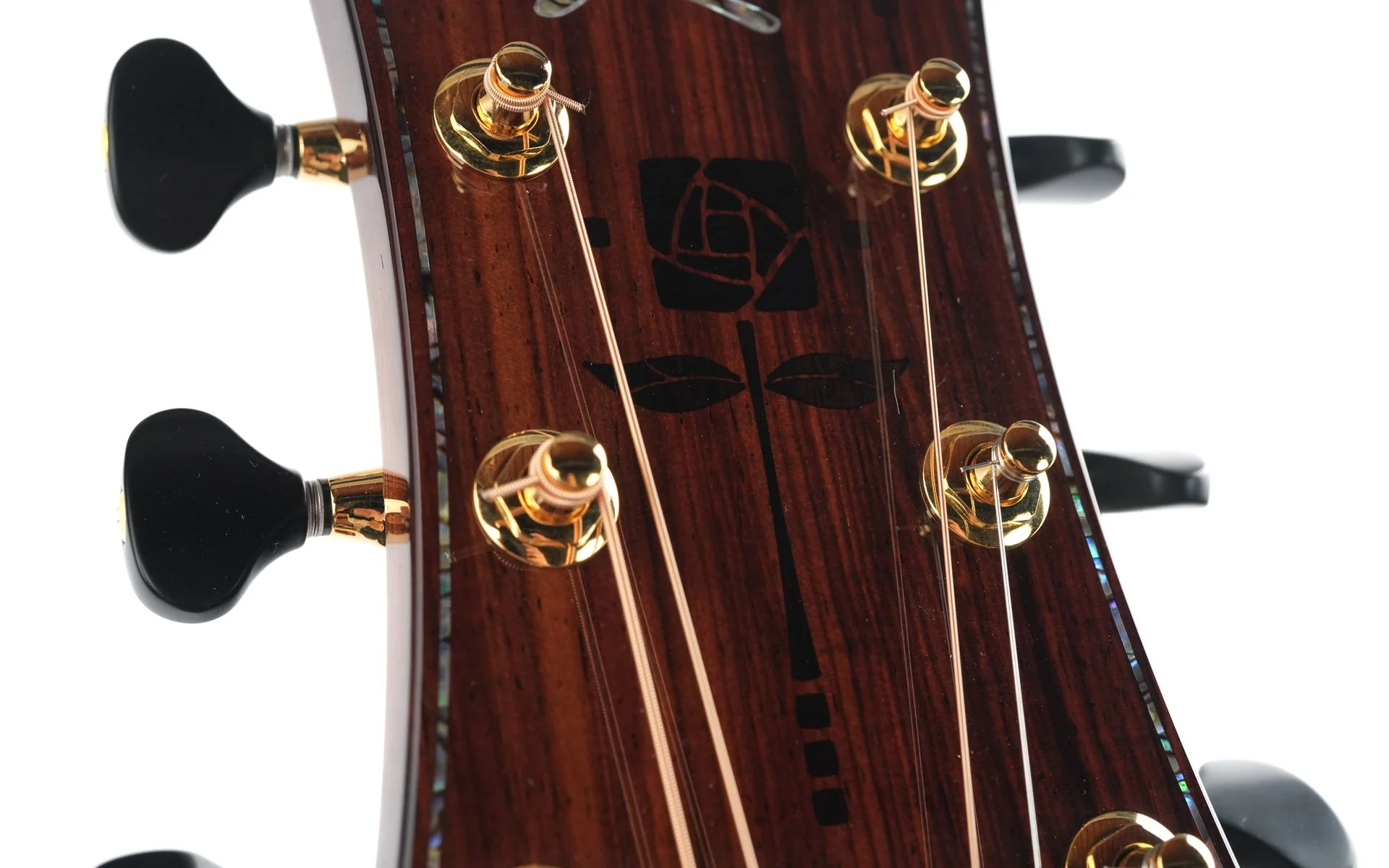 Kevin Ryan Nightingale Cocobolo Glacier Sitka Spruce 25th Anniversary - Image 14