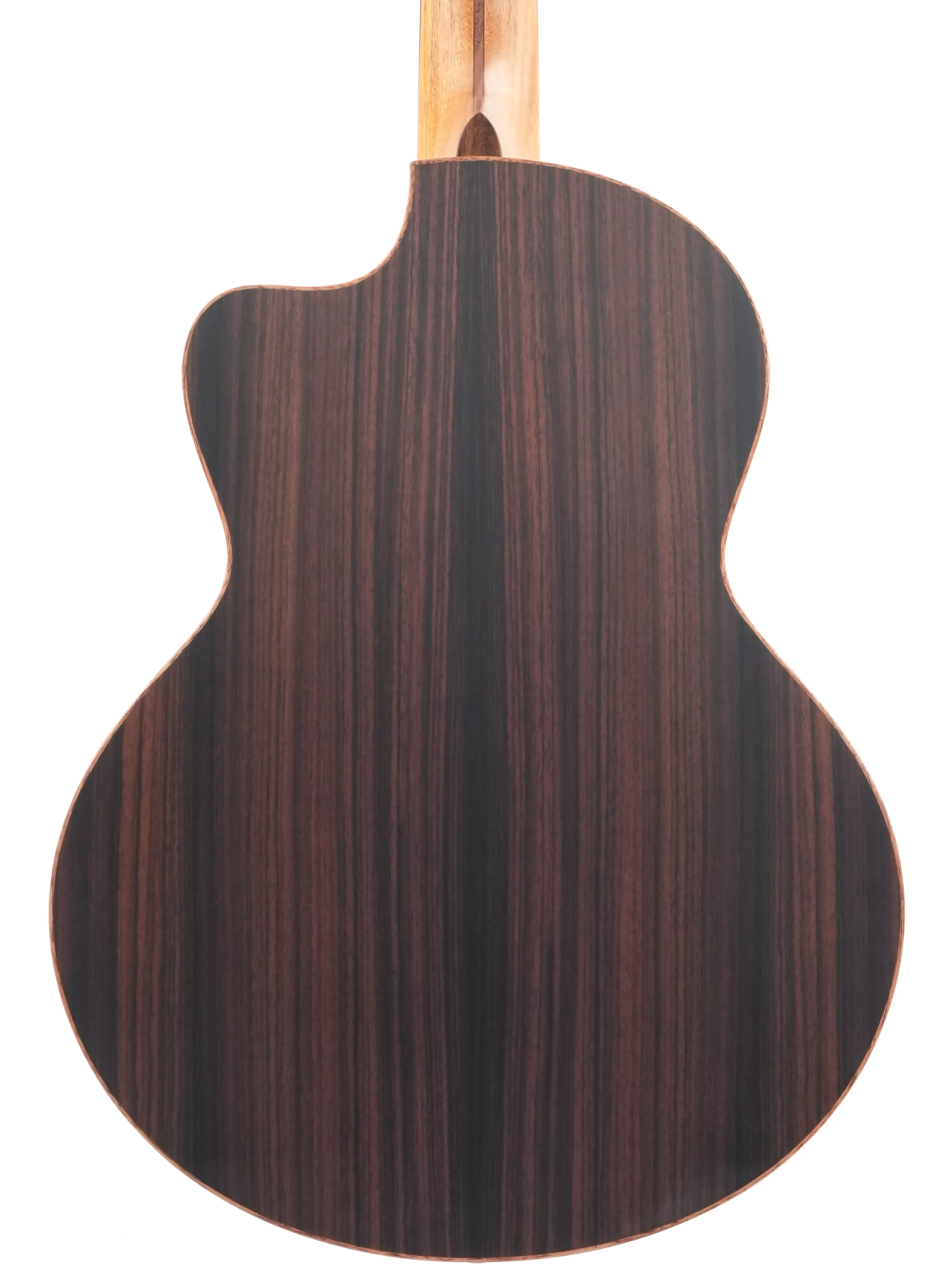Lowden S25J Jazz Nylon Crossover - Image 8