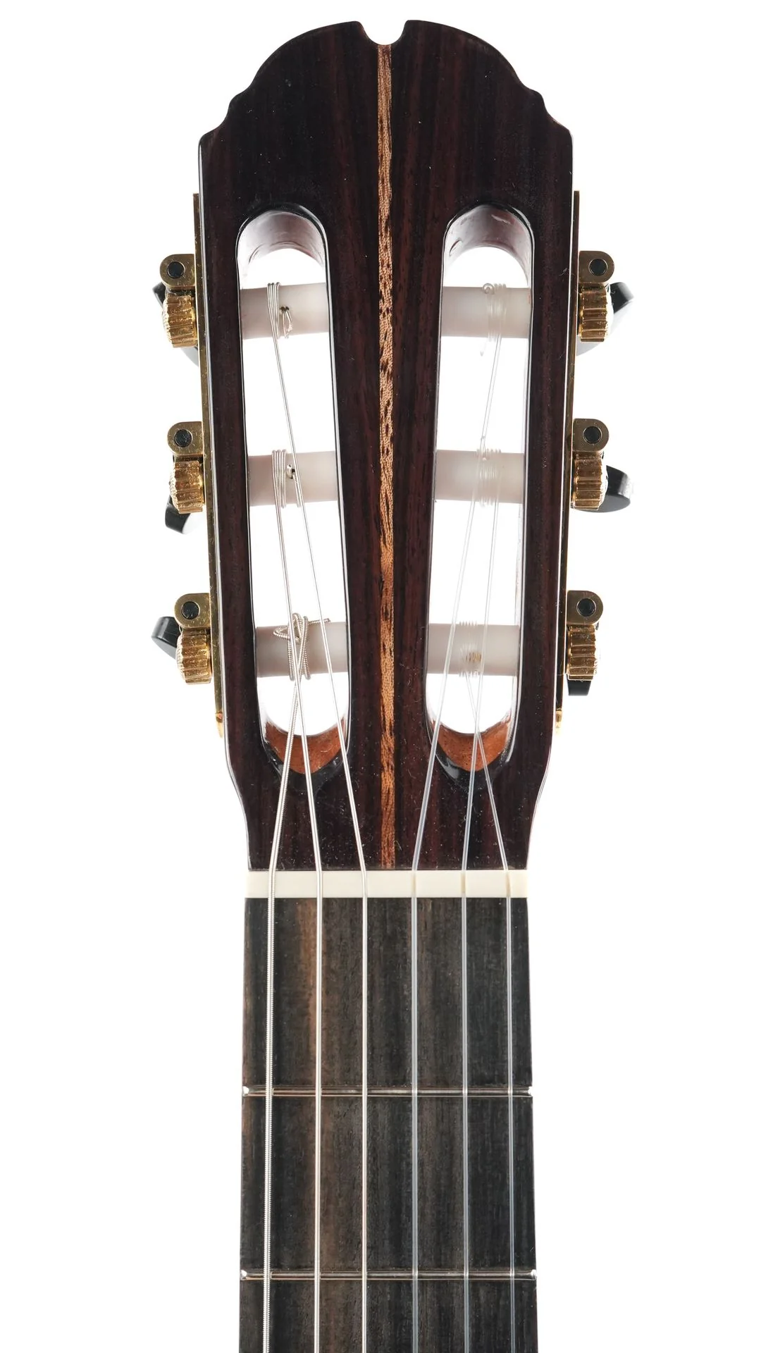 Mach Concert Standard Spruce Rosewood - Image 2