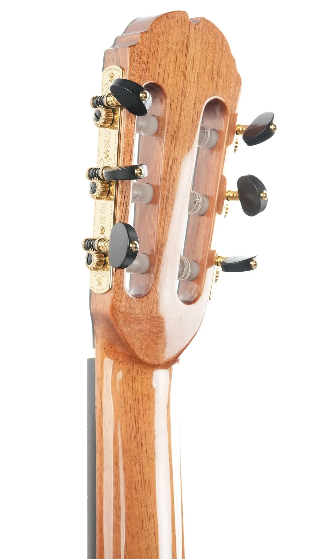 Mach Concert Standard Spruce Rosewood - Image 6