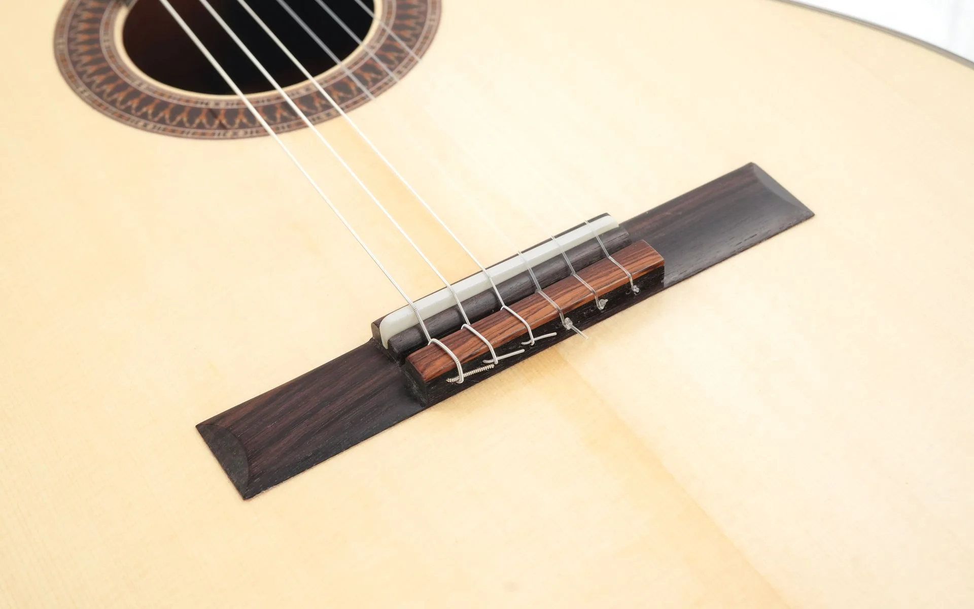 Mach Concert Standard Spruce Rosewood - Image 7