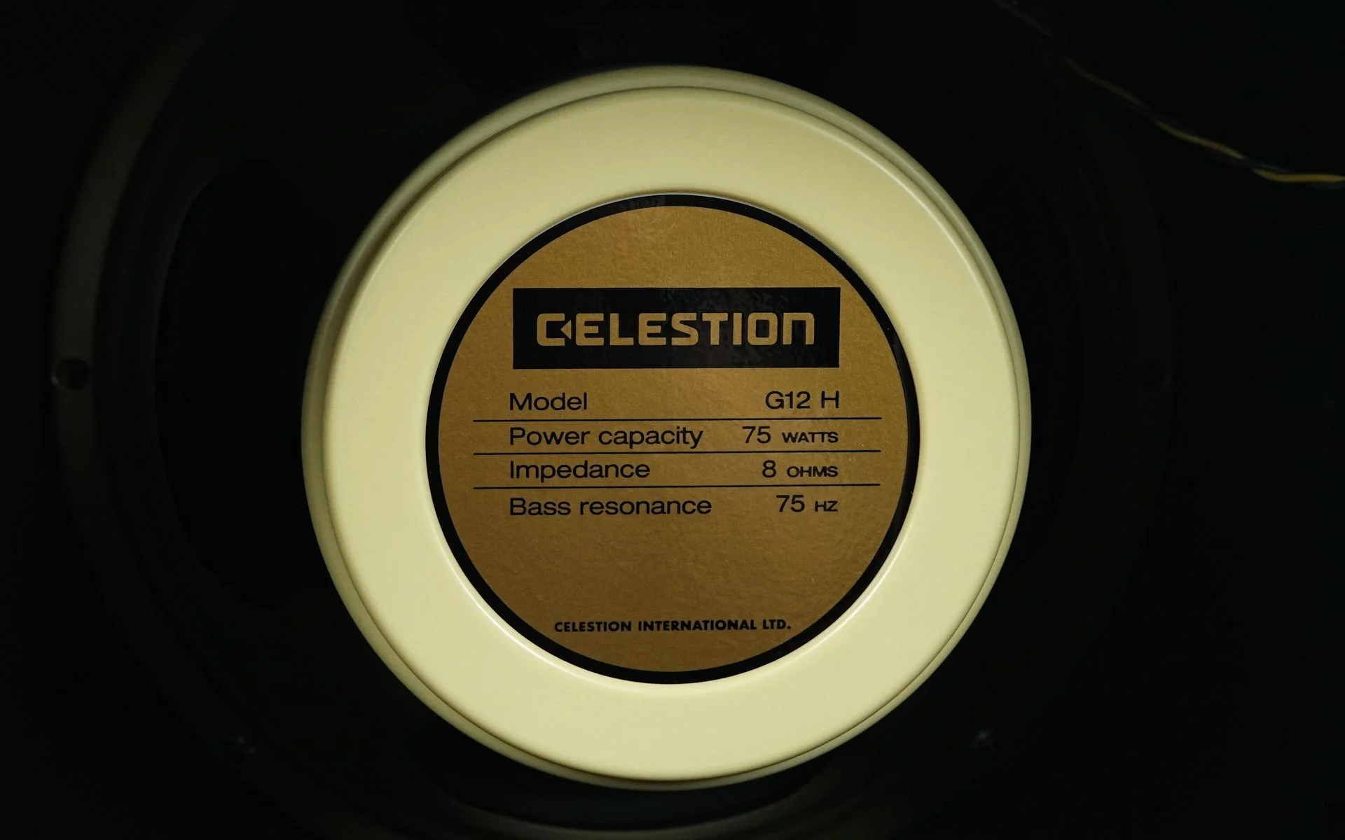 Marble Amps 75 Special Head + 1x12 Cabinet - Image 9