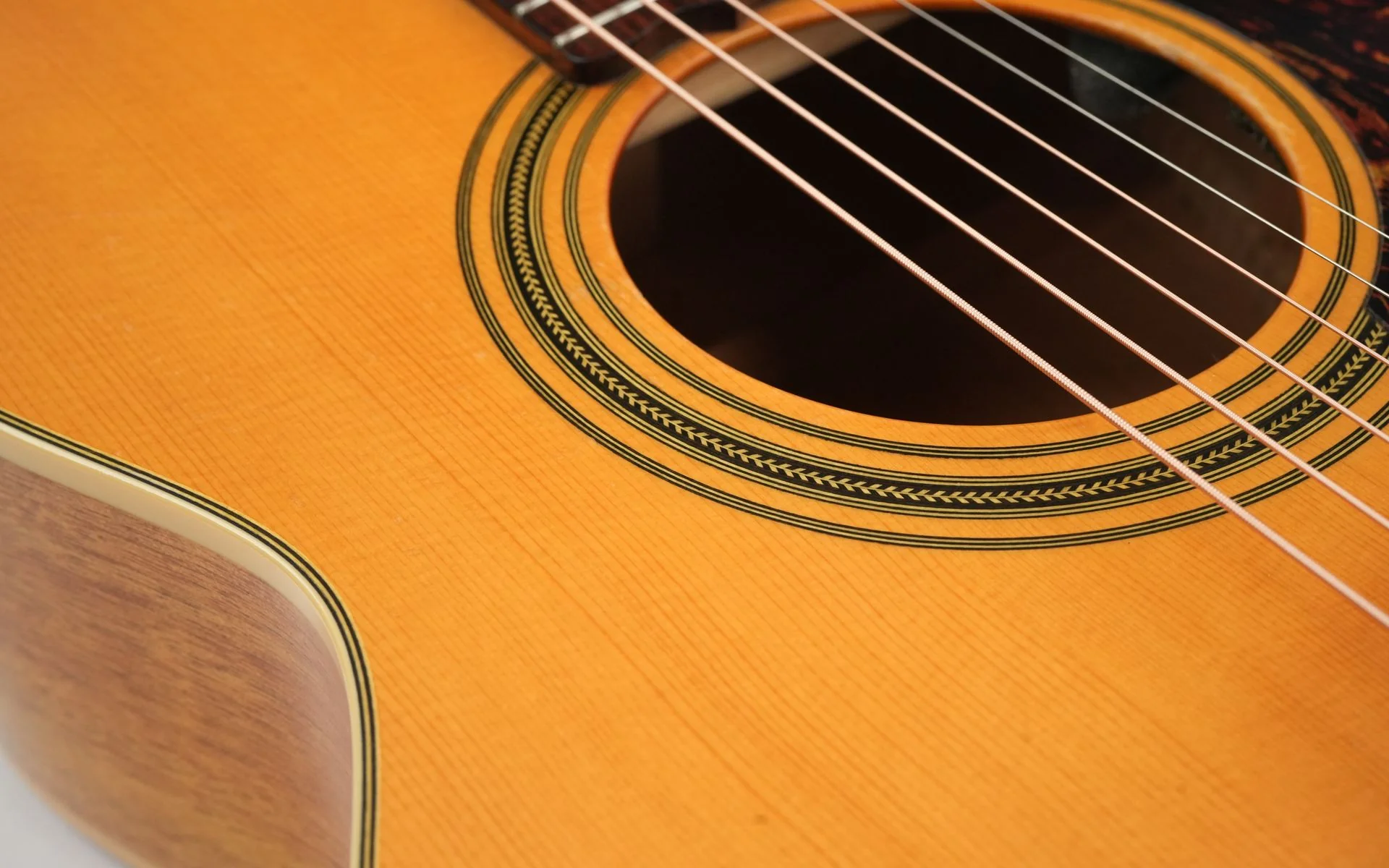 Maton EBG808TE Tommy Emmanuel 2007 - Image 13