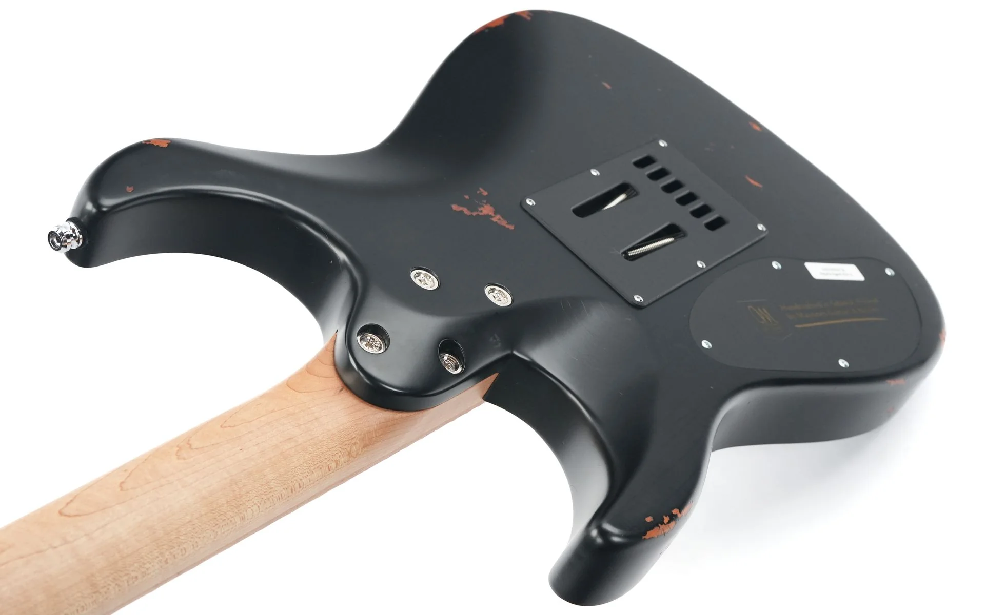 Mayones Aquila Aged V24 S 6 Monolith Black Nitro - Image 9