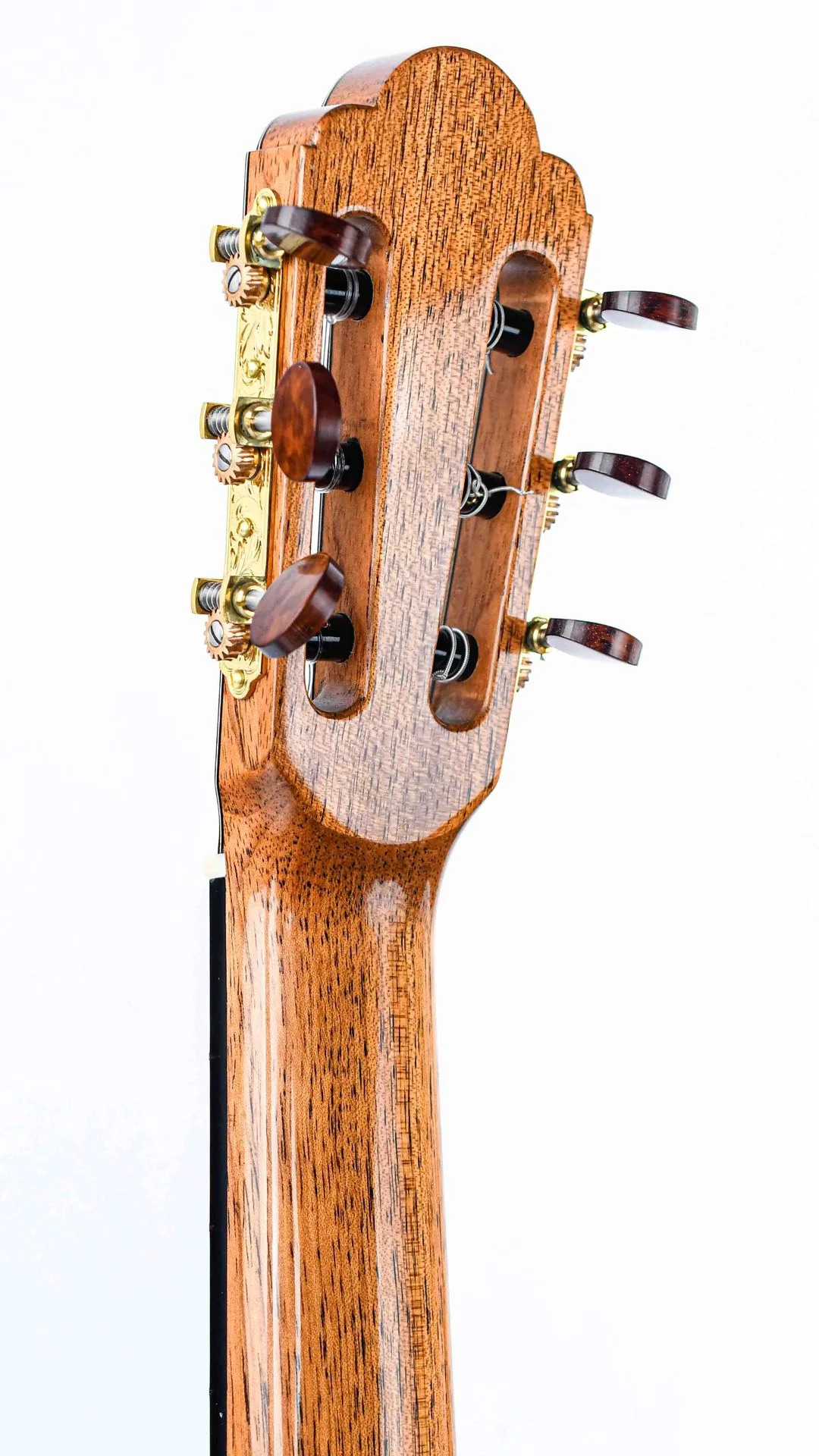 Menno Bos Torres Cocobolo Spruce 2019 - Image 6