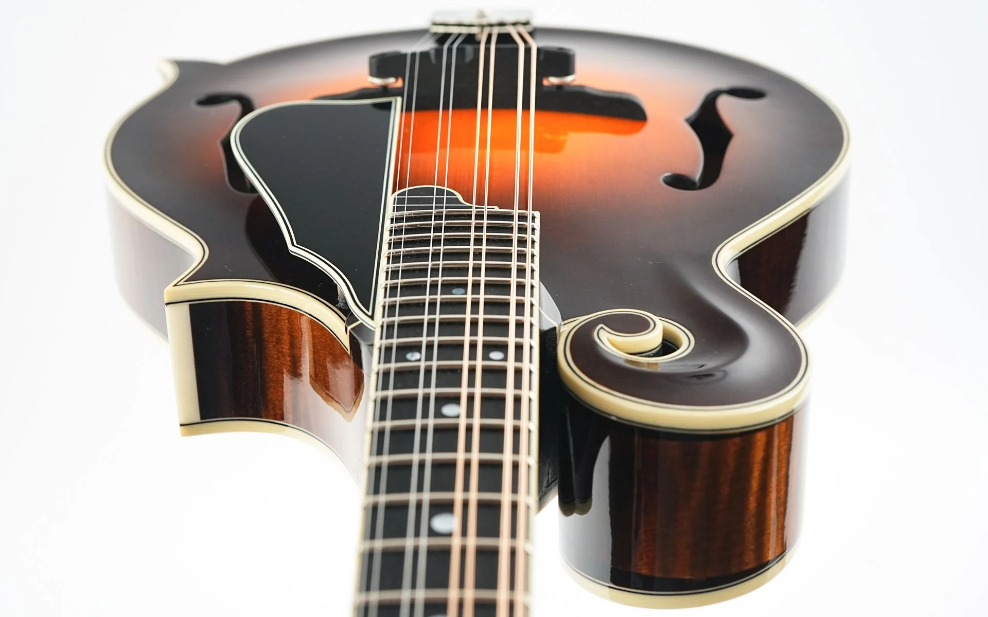 Northfield NFAF51I Italian Spruce Maple - Image 12