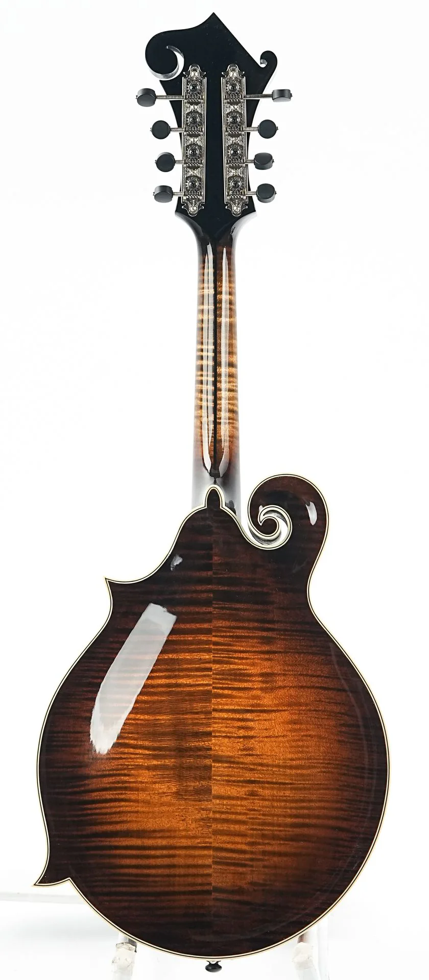 Northfield NFAF51I Italian Spruce Maple - Image 4