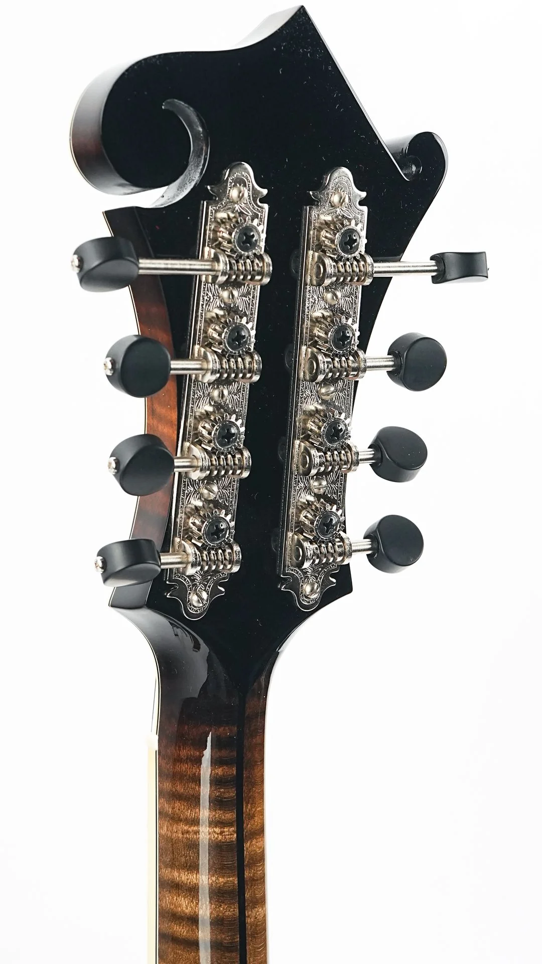 Northfield NFAF51I Italian Spruce Maple - Image 6