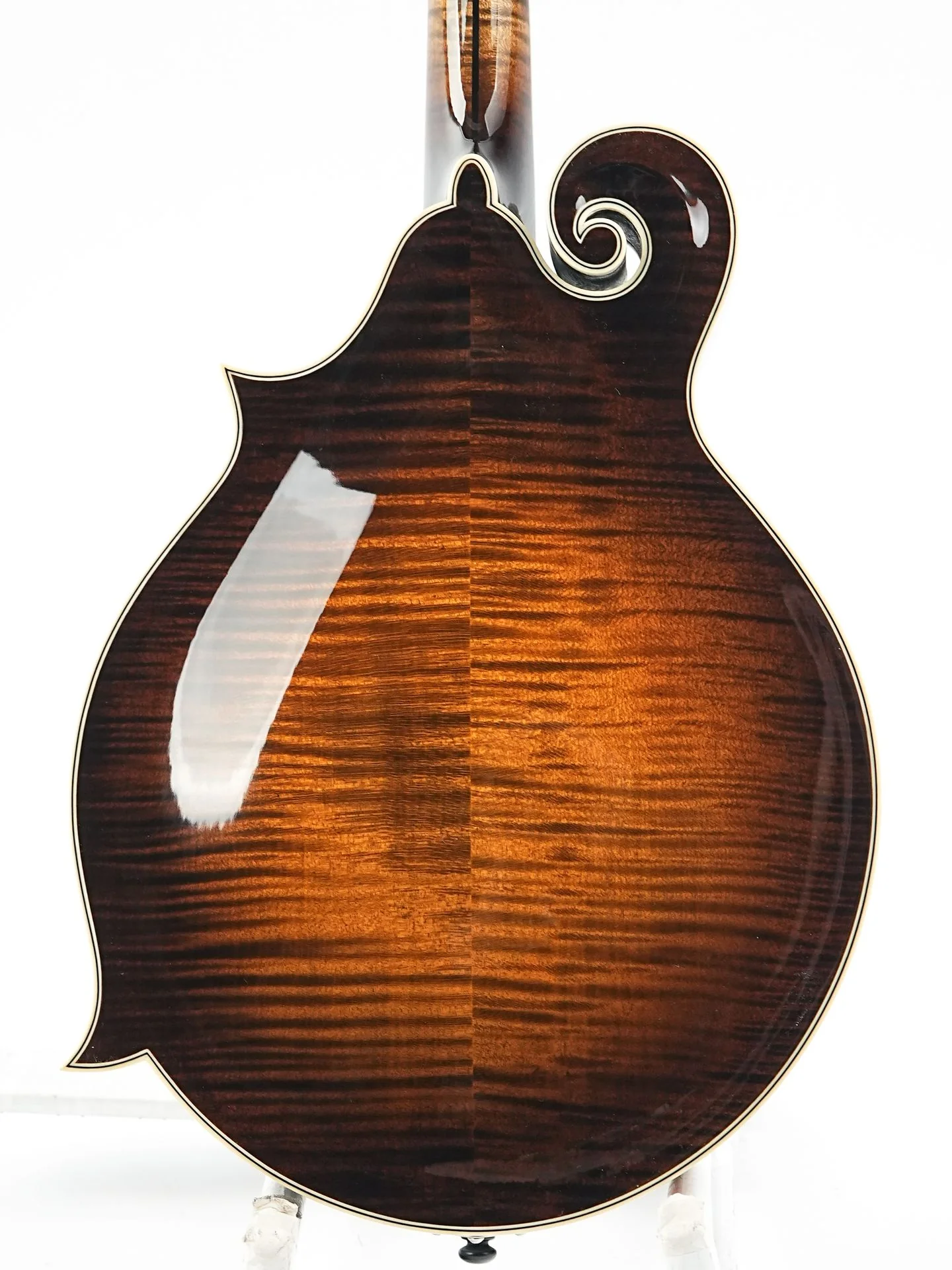 Northfield NFAF51I Italian Spruce Maple - Image 8