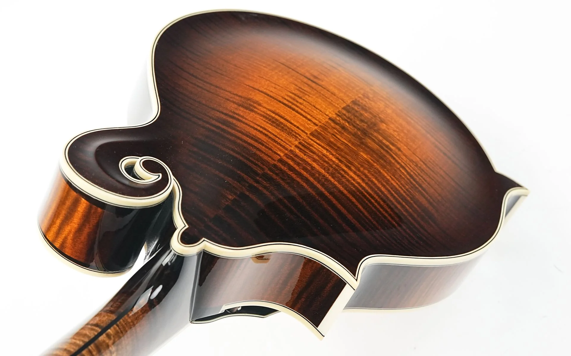 Northfield NFAF51I Italian Spruce Maple - Image 9