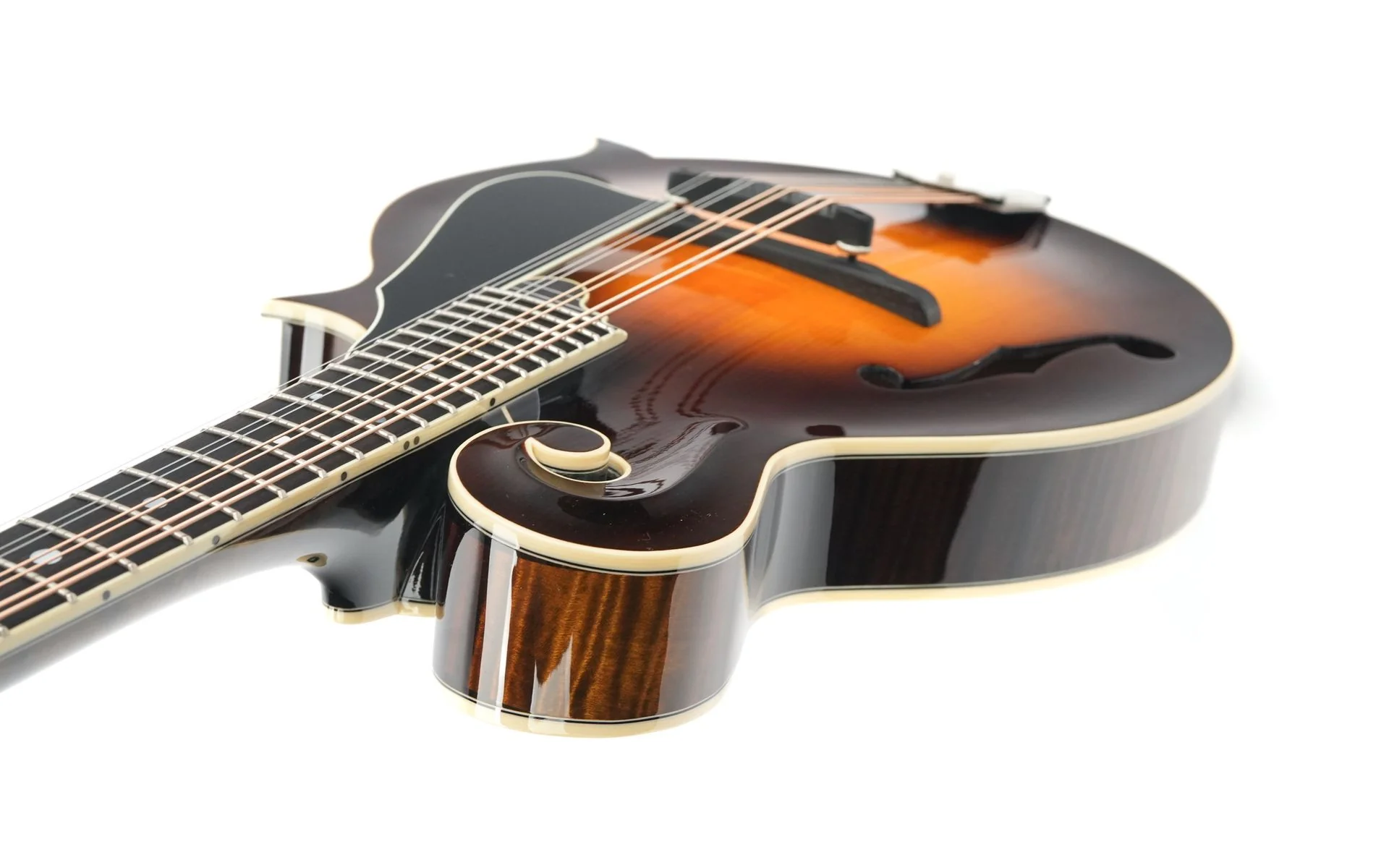 Northfield NFB F5A Big Mon Adirondack Standard Sunburst - Image 10