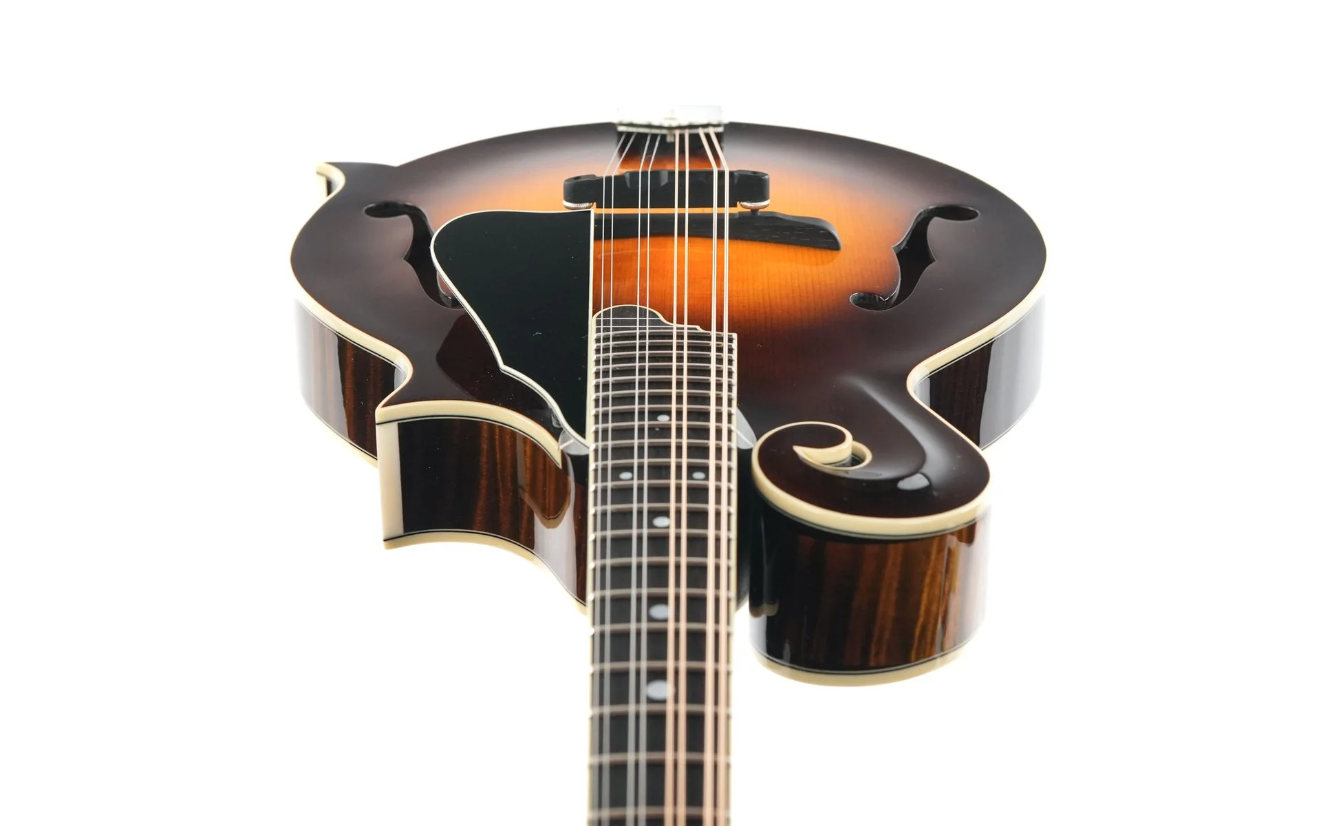 Northfield NFB F5A Big Mon Adirondack Standard Sunburst - Image 13