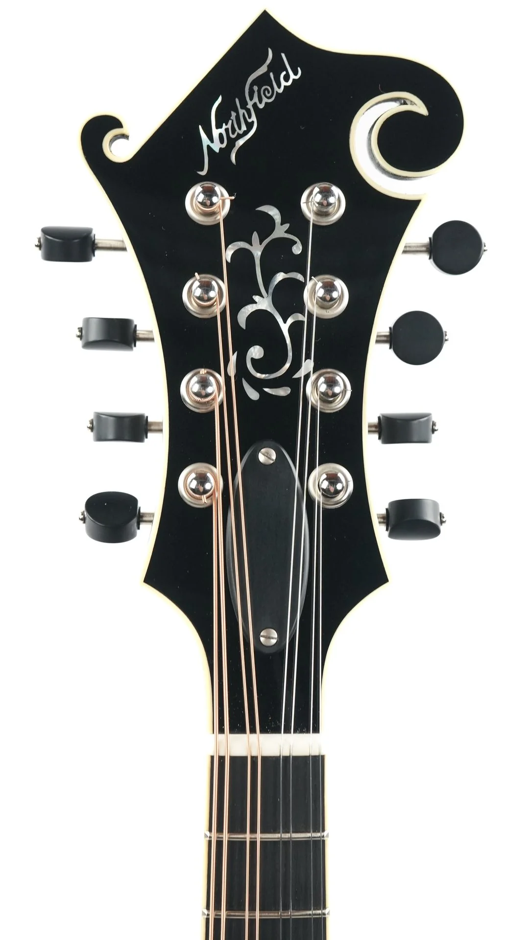 Northfield NFB F5A Big Mon Adirondack Standard Sunburst - Image 2