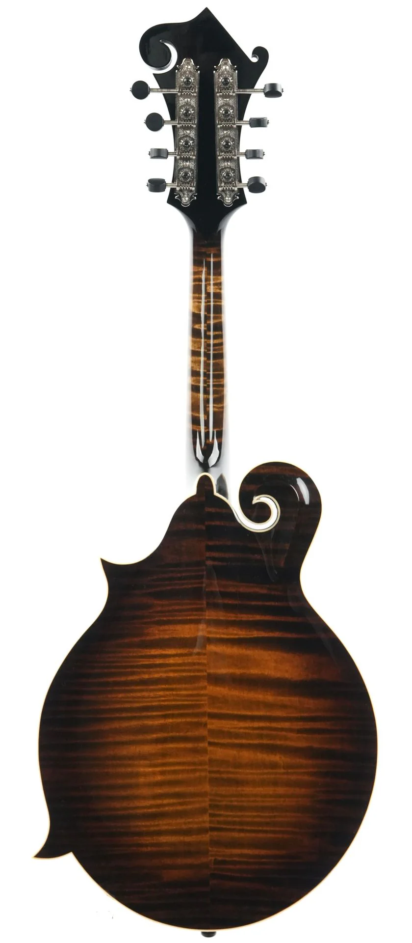Northfield NFB F5A Big Mon Adirondack Standard Sunburst - Image 4