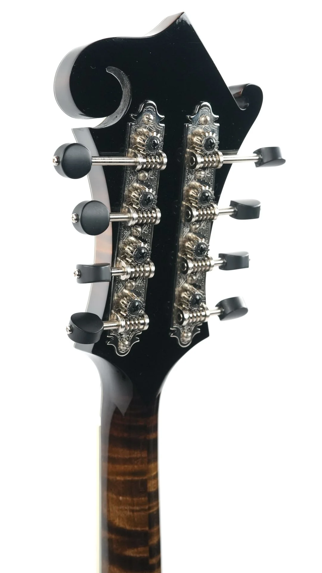 Northfield NFB F5A Big Mon Adirondack Standard Sunburst - Image 6