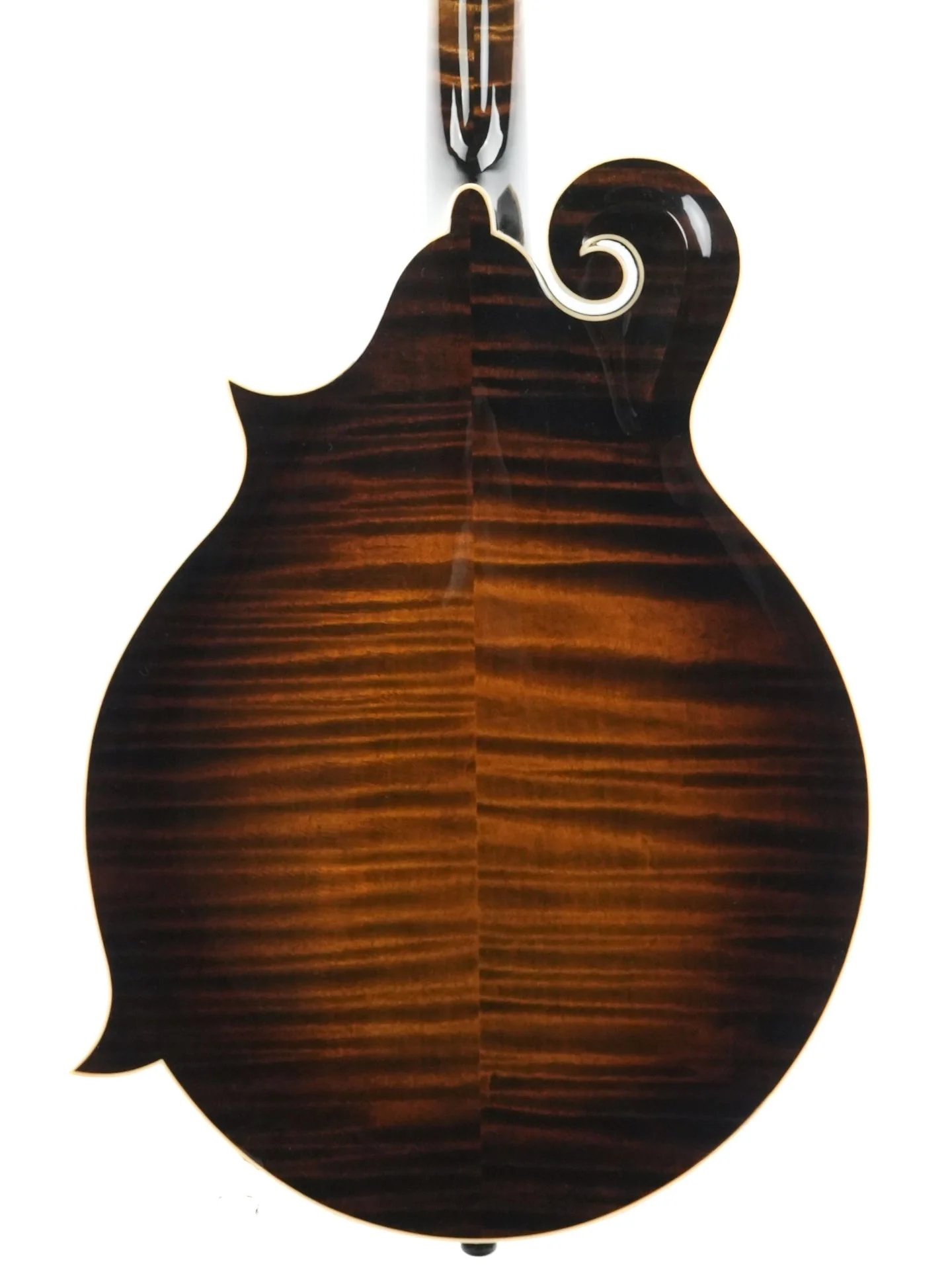 Northfield NFB F5A Big Mon Adirondack Standard Sunburst - Image 8