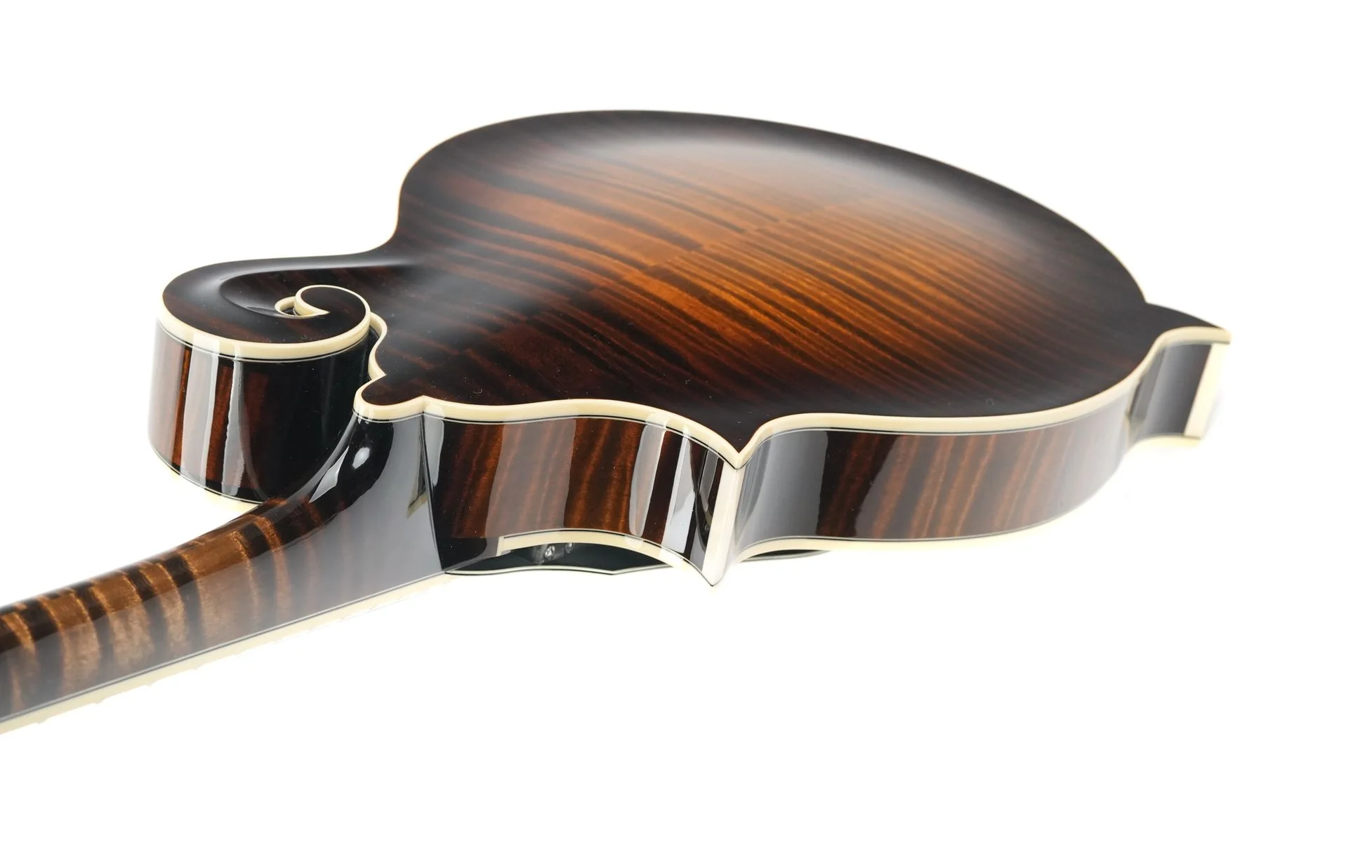 Northfield NFB F5A Big Mon Adirondack Standard Sunburst - Image 9
