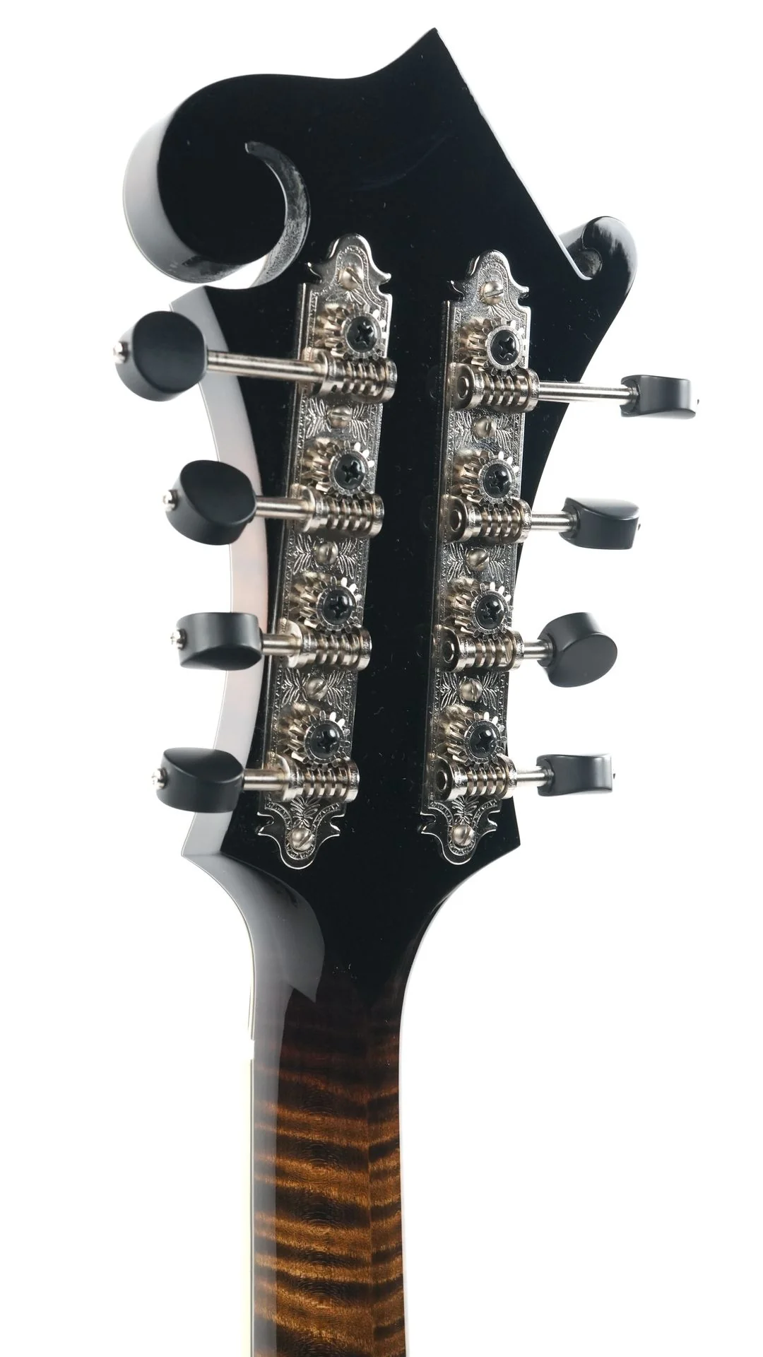 Northfield NFB F5E Big Mon Engelmann Standard Sunburst - Image 6