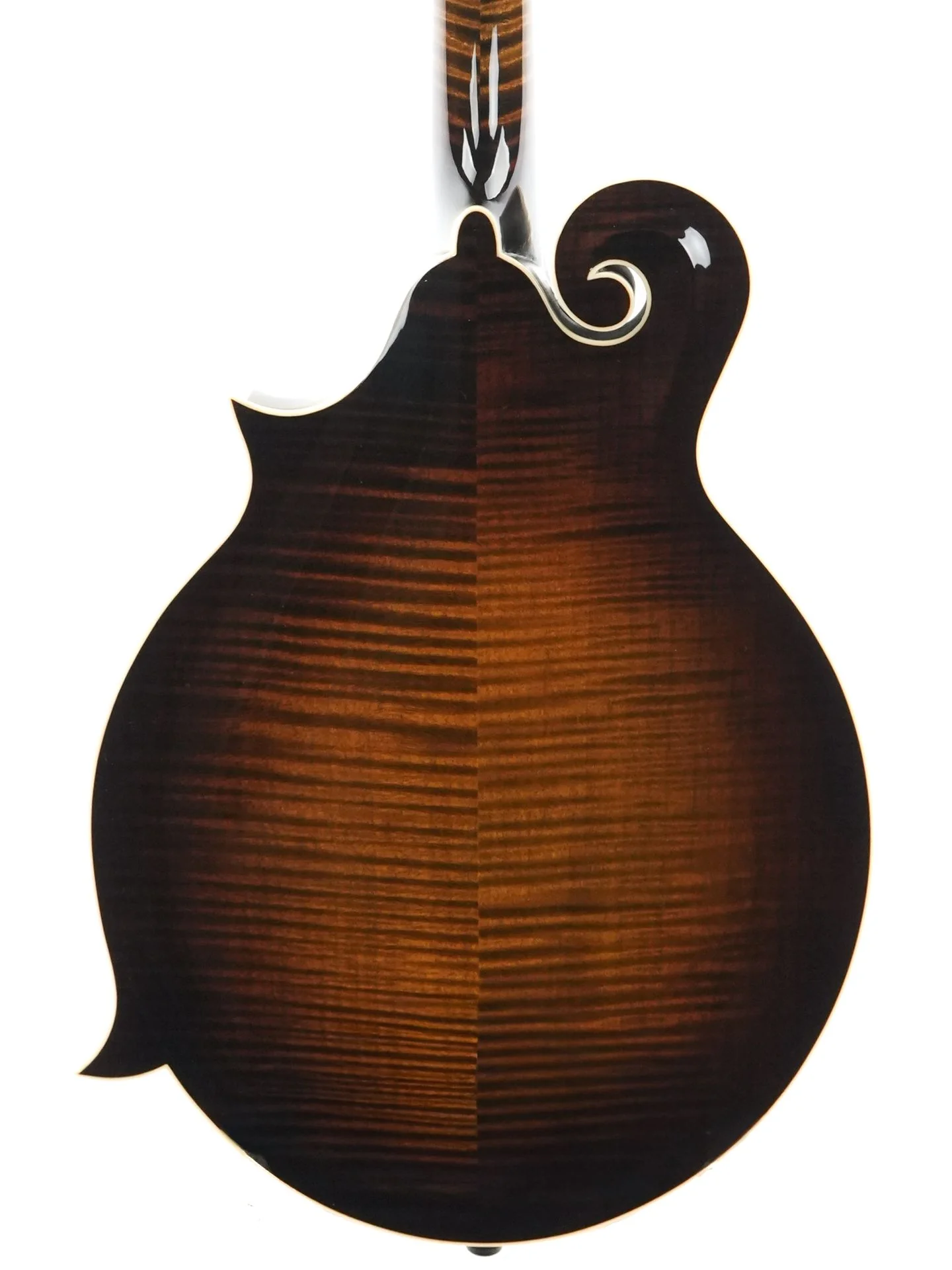 Northfield NFB F5E Big Mon Engelmann Standard Sunburst - Image 8