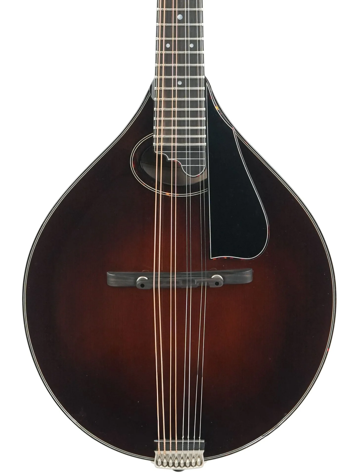 Northfield NFMSP A4 Special Alpine Spruce Icelandic Brown - Image 5