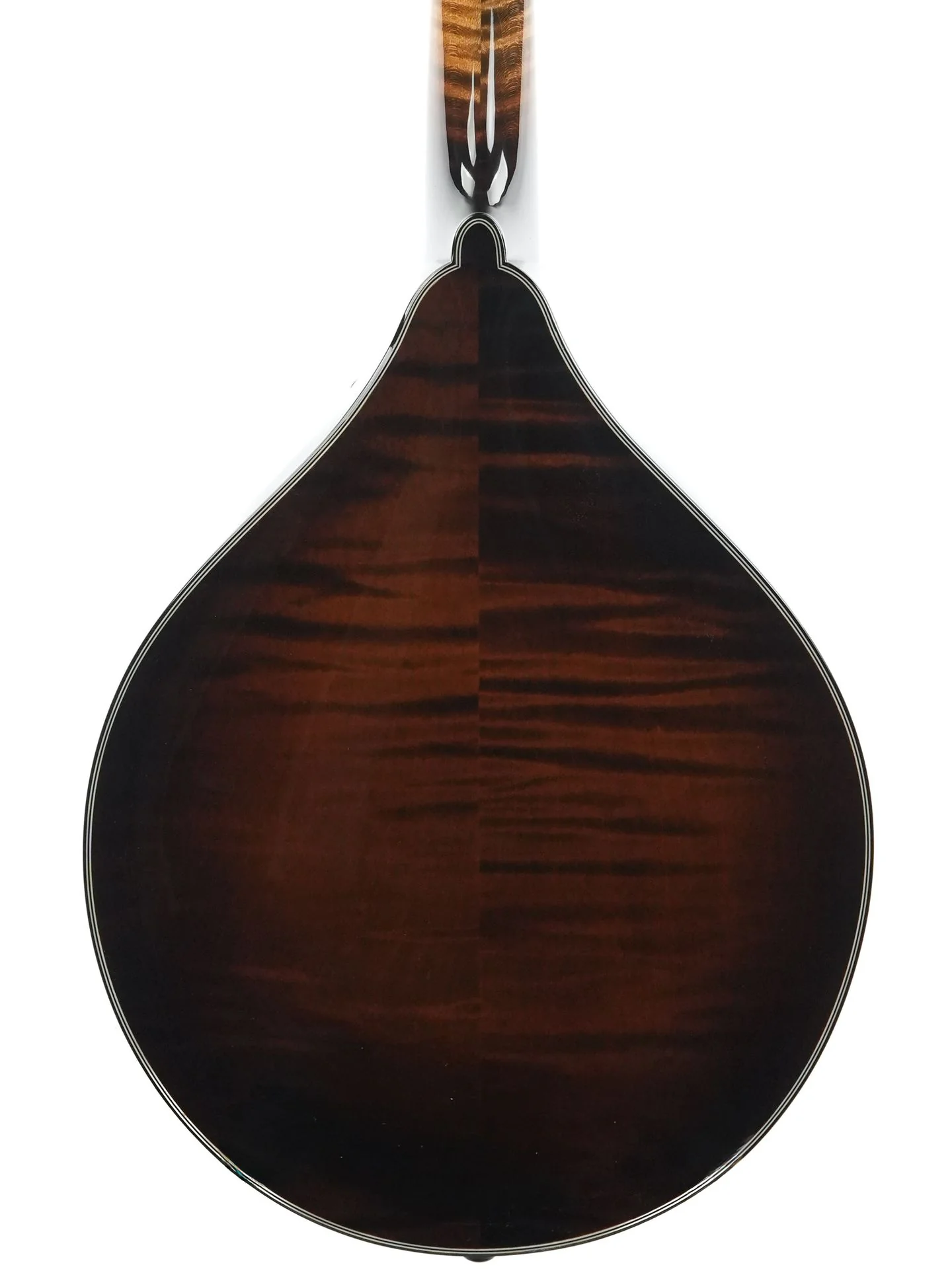Northfield NFMSP A4 Special Alpine Spruce Icelandic Brown - Image 8