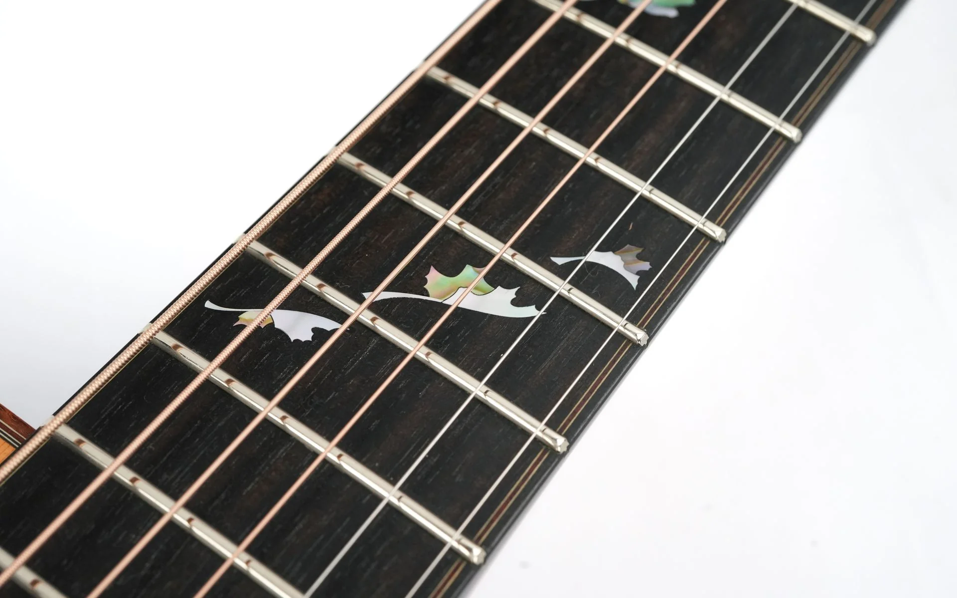 Patrick James Eggle Saluda Custom Rosewood 2011 - Image 12
