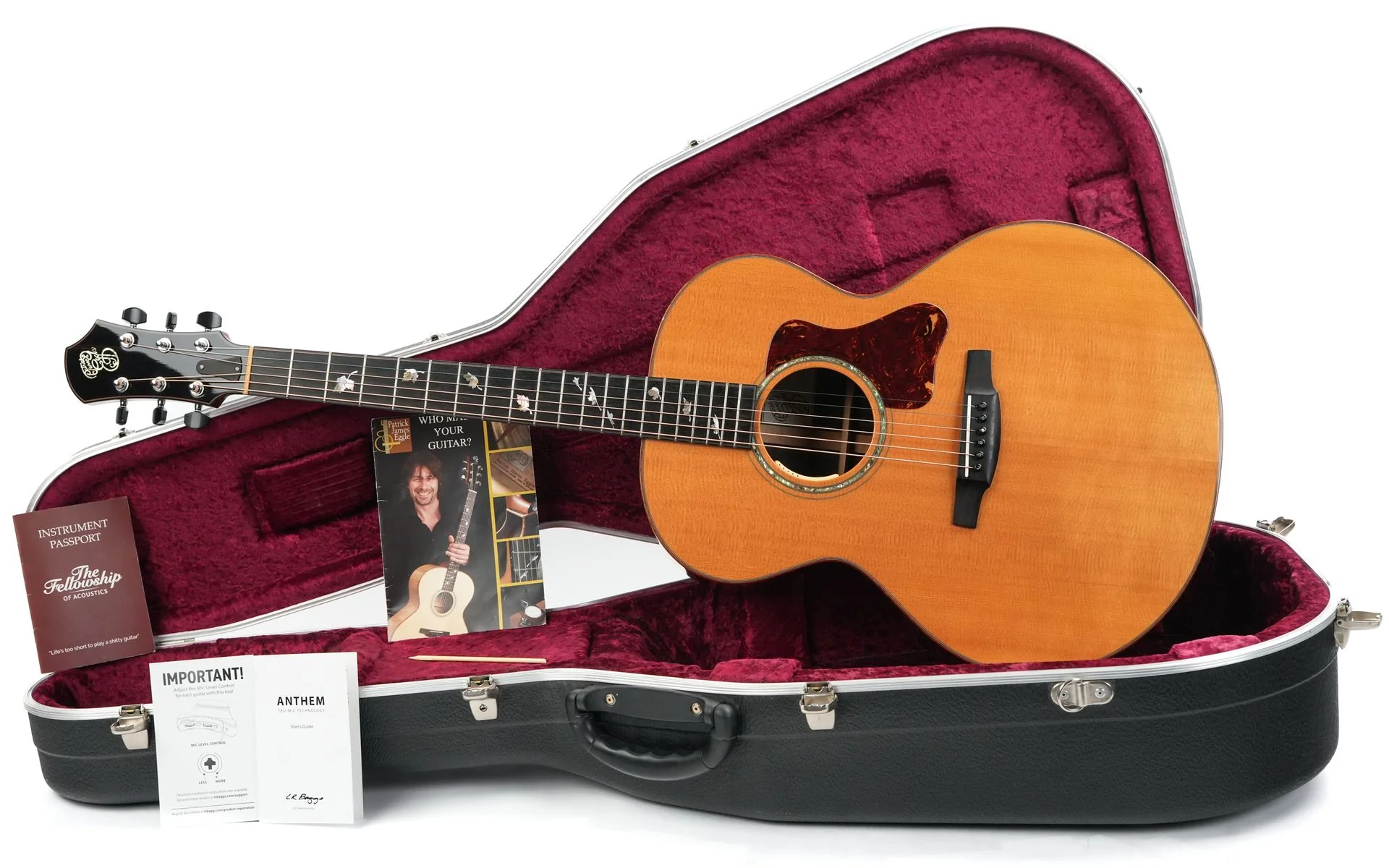 Patrick James Eggle Saluda Custom Rosewood 2011 - Image 3