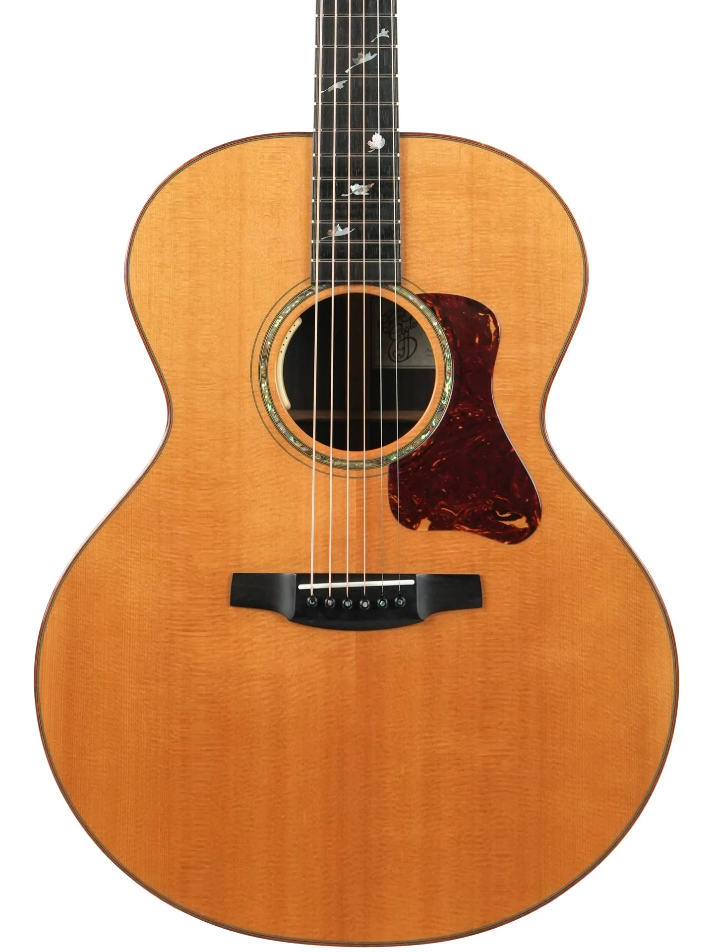 Patrick James Eggle Saluda Custom Rosewood 2011 - Image 5