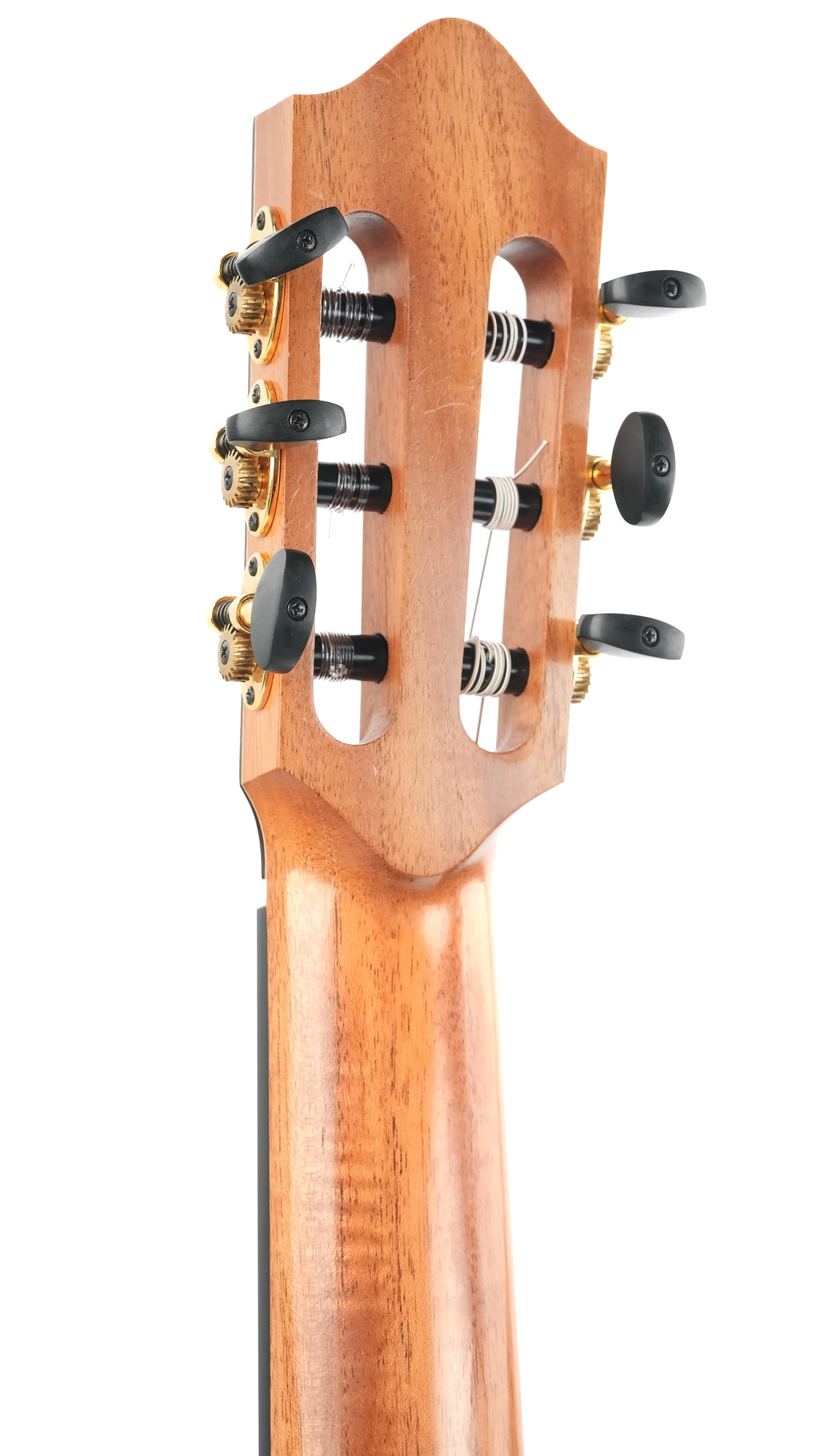 Sergei de Jonge Classical Cedar Wenge 2025 - Image 6