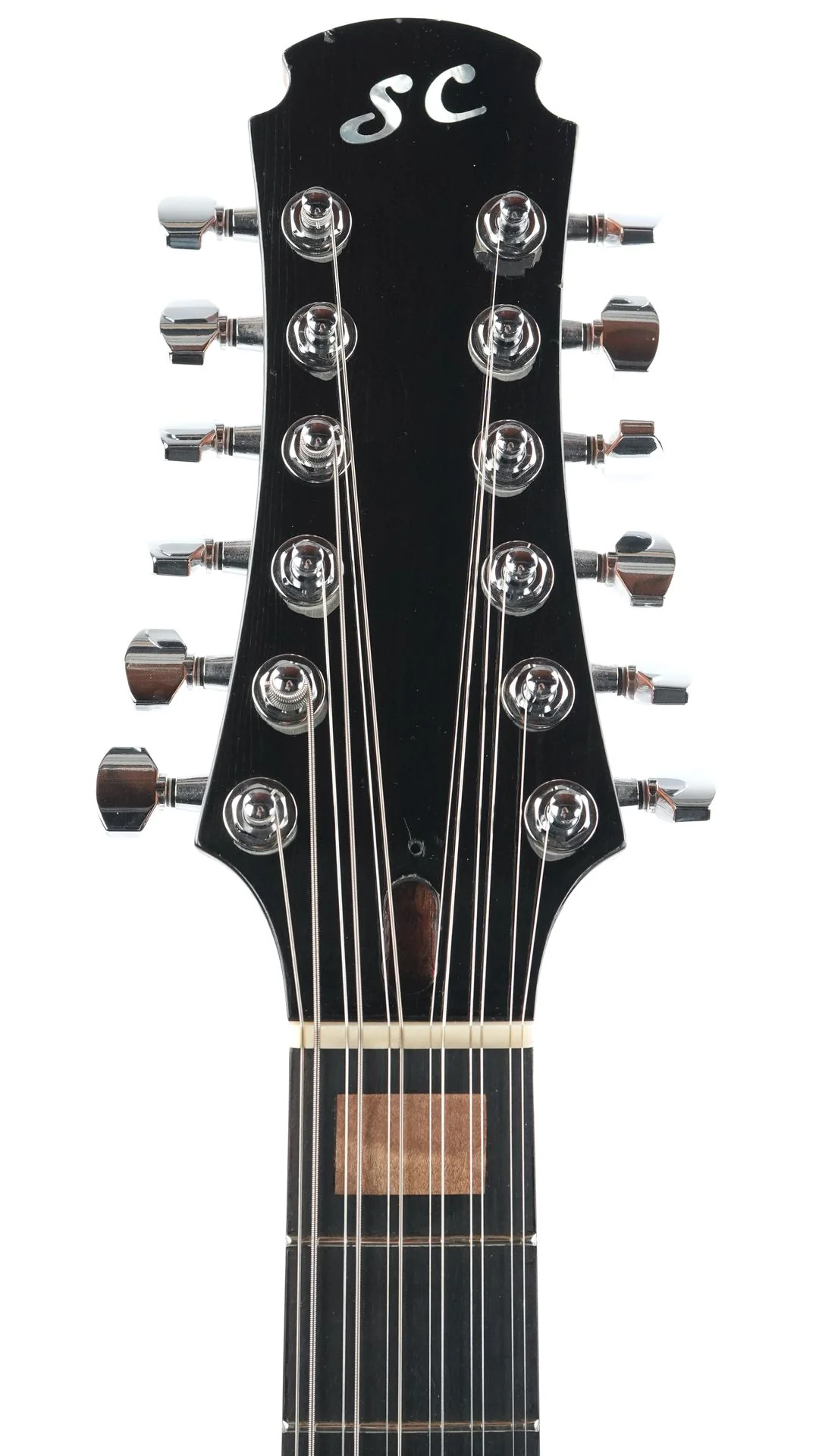 Stoney Creek Obsidian Semi Hollow 12 String 2020 - Image 2