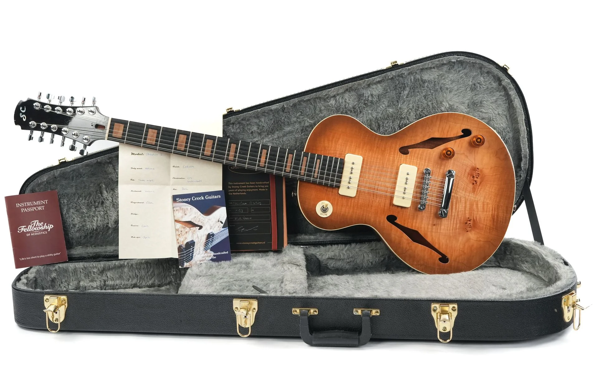 Stoney Creek Obsidian Semi Hollow 12 String 2020 - Image 3