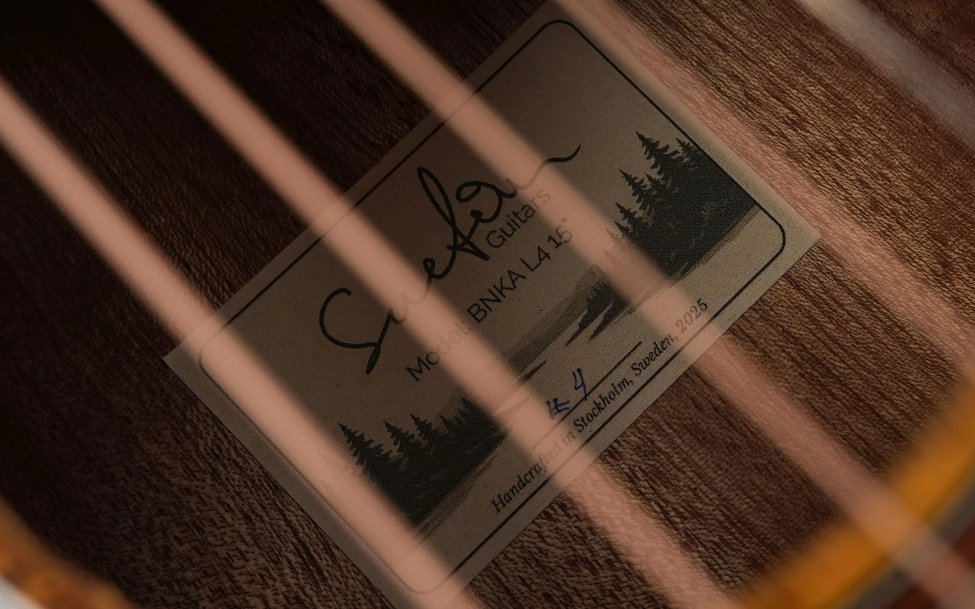 Suetin BNKA L4 15 Inch Archtop - Image 13