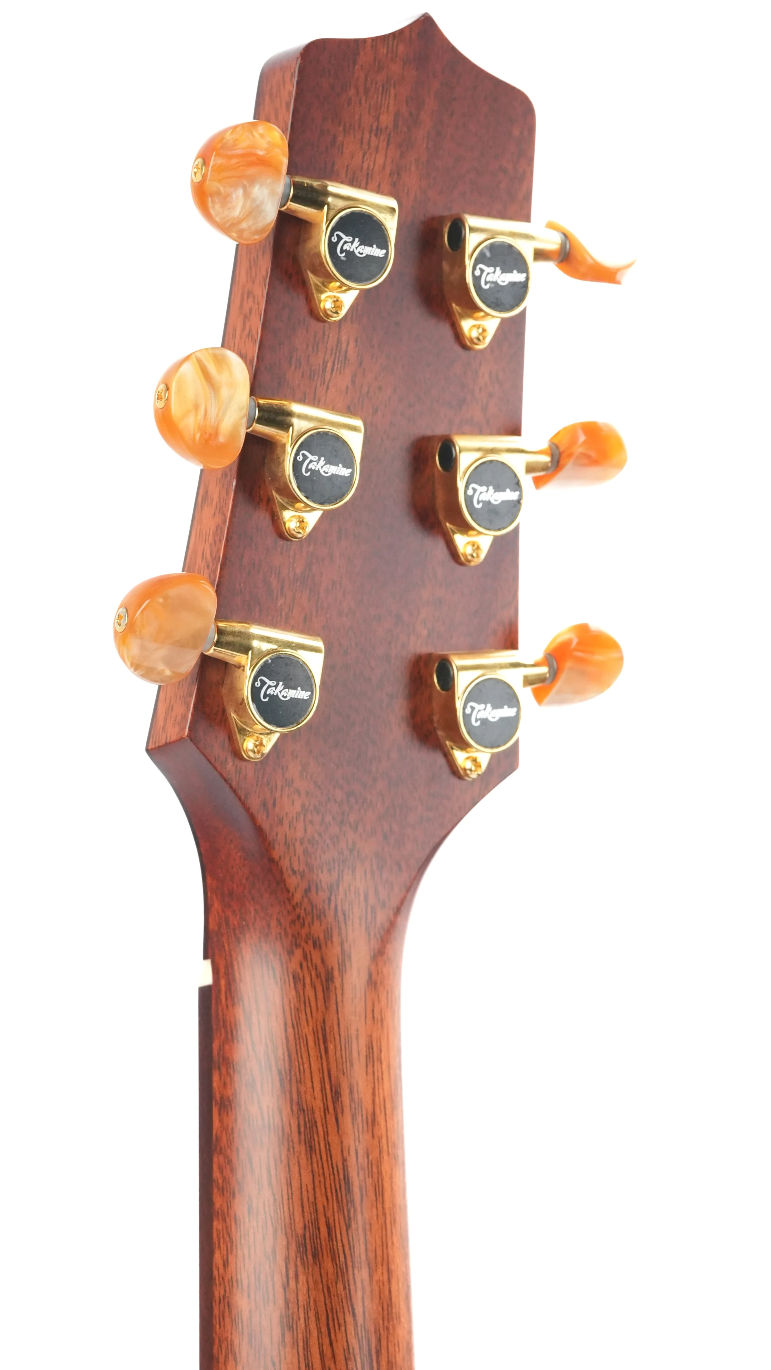 Takamine P3MC Cedar Sapele 2023 - Image 6