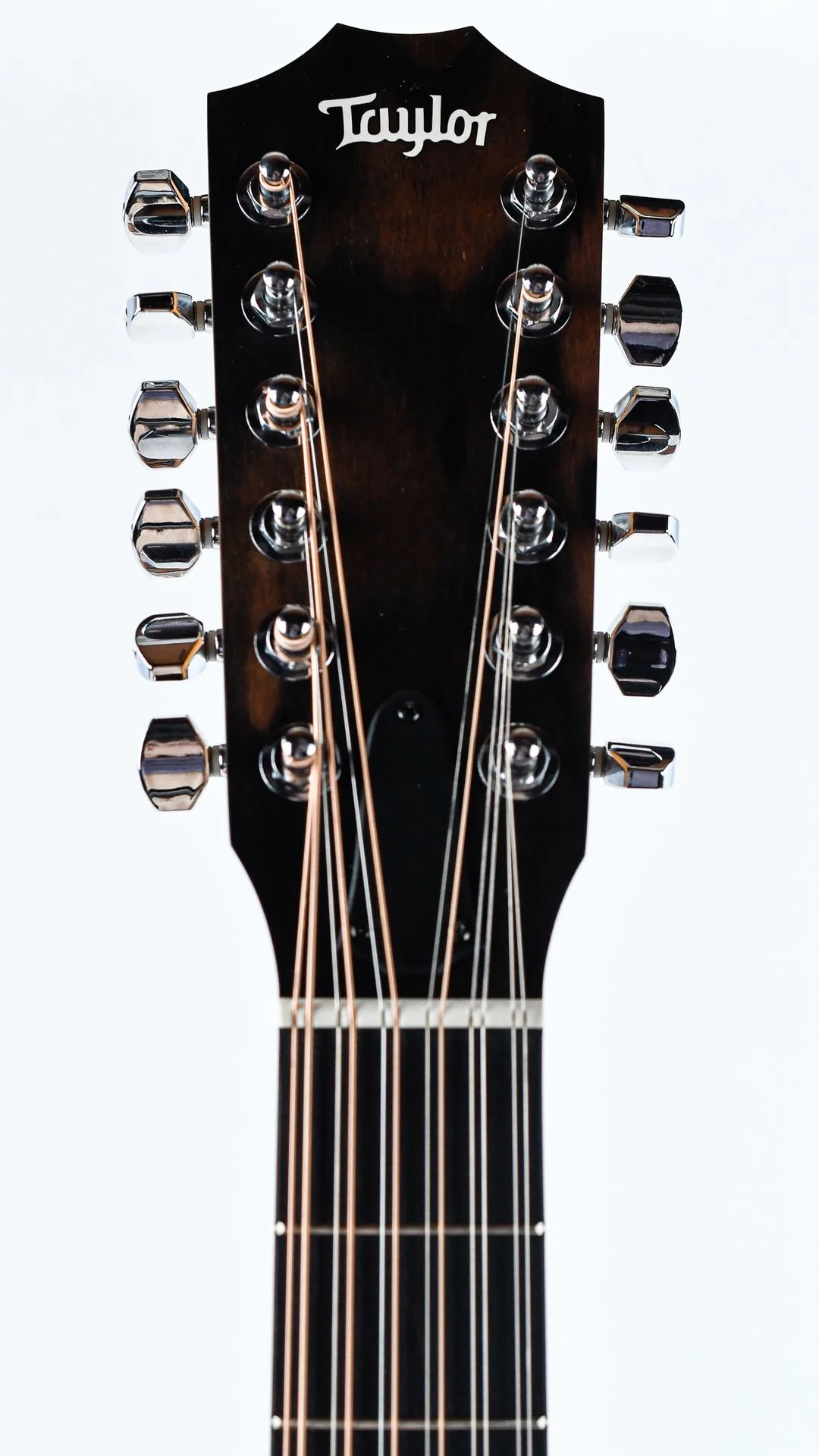 Taylor 150ce 12 String - Image 2