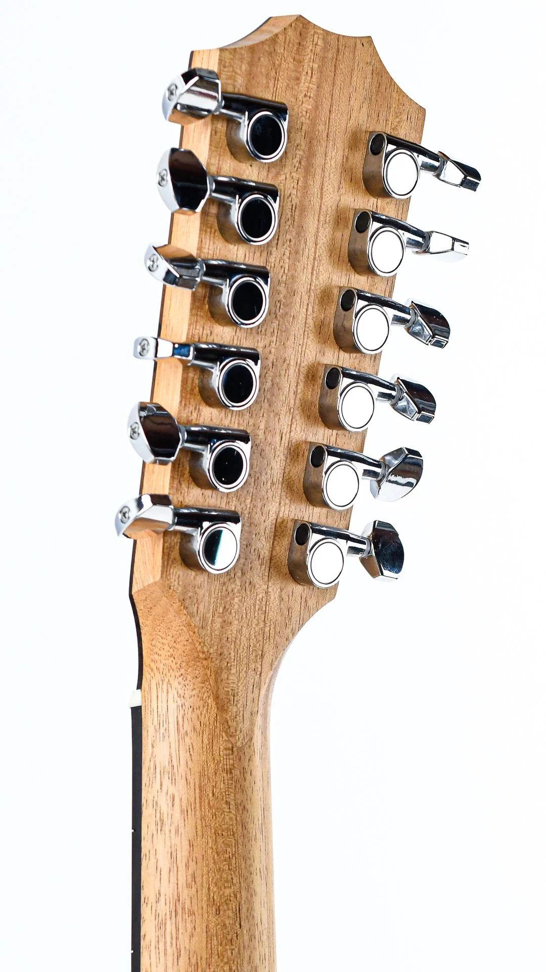 Taylor 150ce 12 String - Image 6