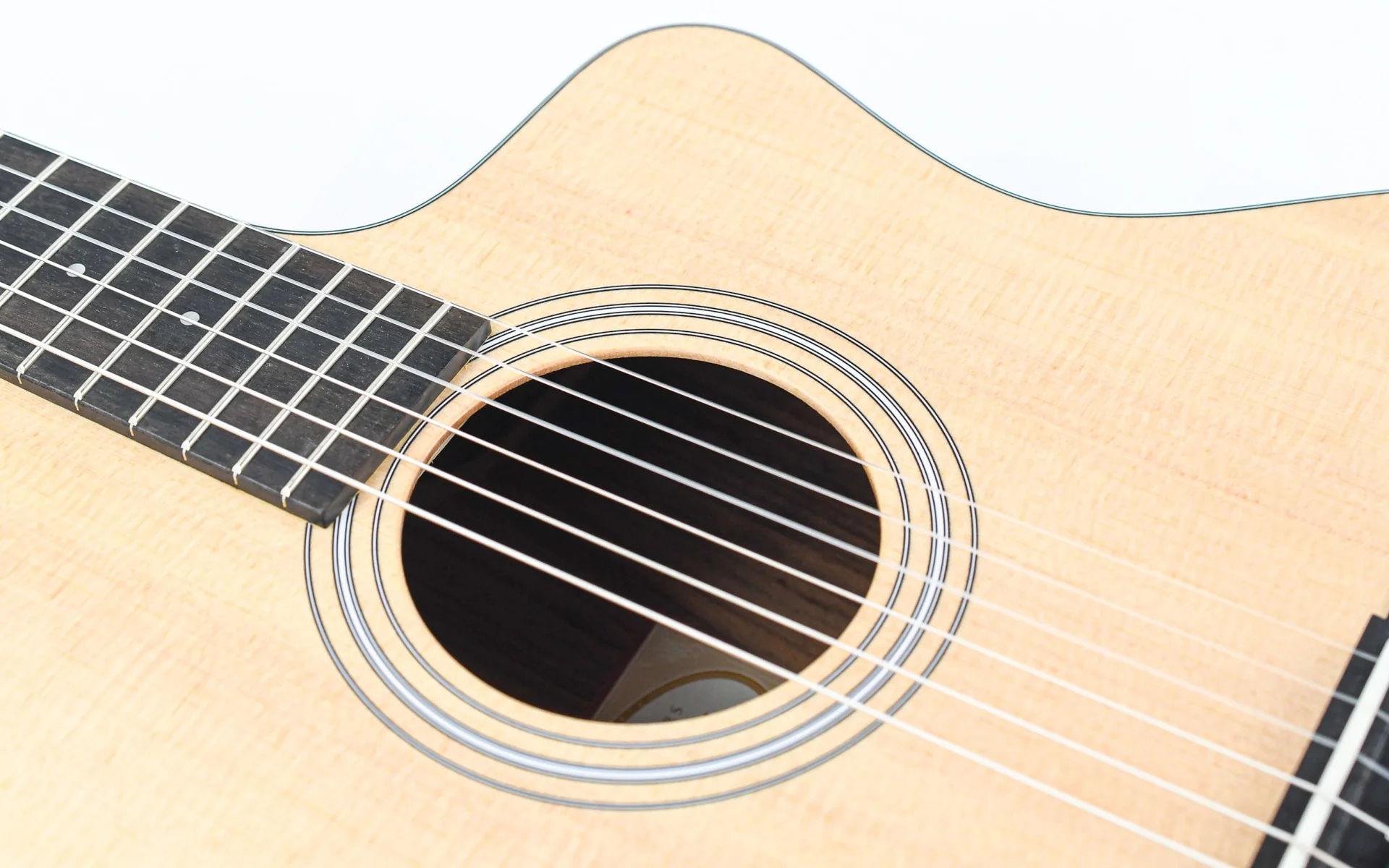 Taylor 214ce-N Nylon - Image 11