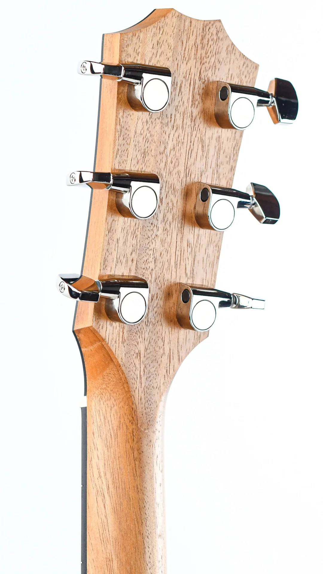 Taylor 214ce Plus - Image 6