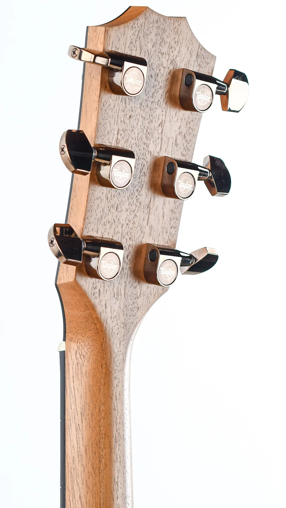 Taylor 224ce-K DLX Koa - Image 6