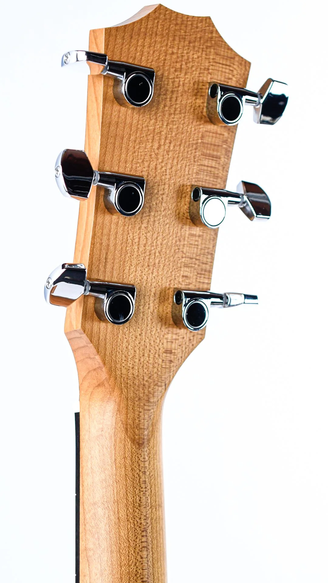 Taylor 24ce - Image 6