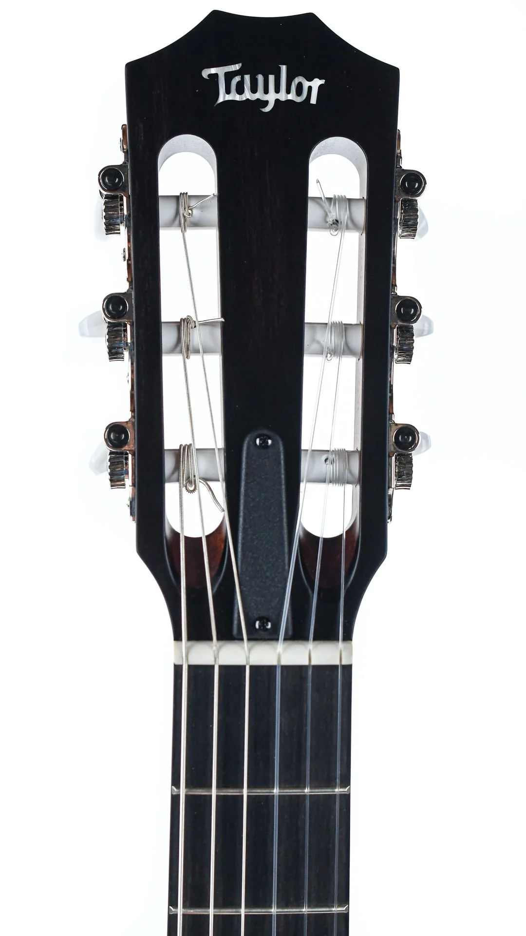 Taylor 312ce-N 12 Fret Sapele - Image 2