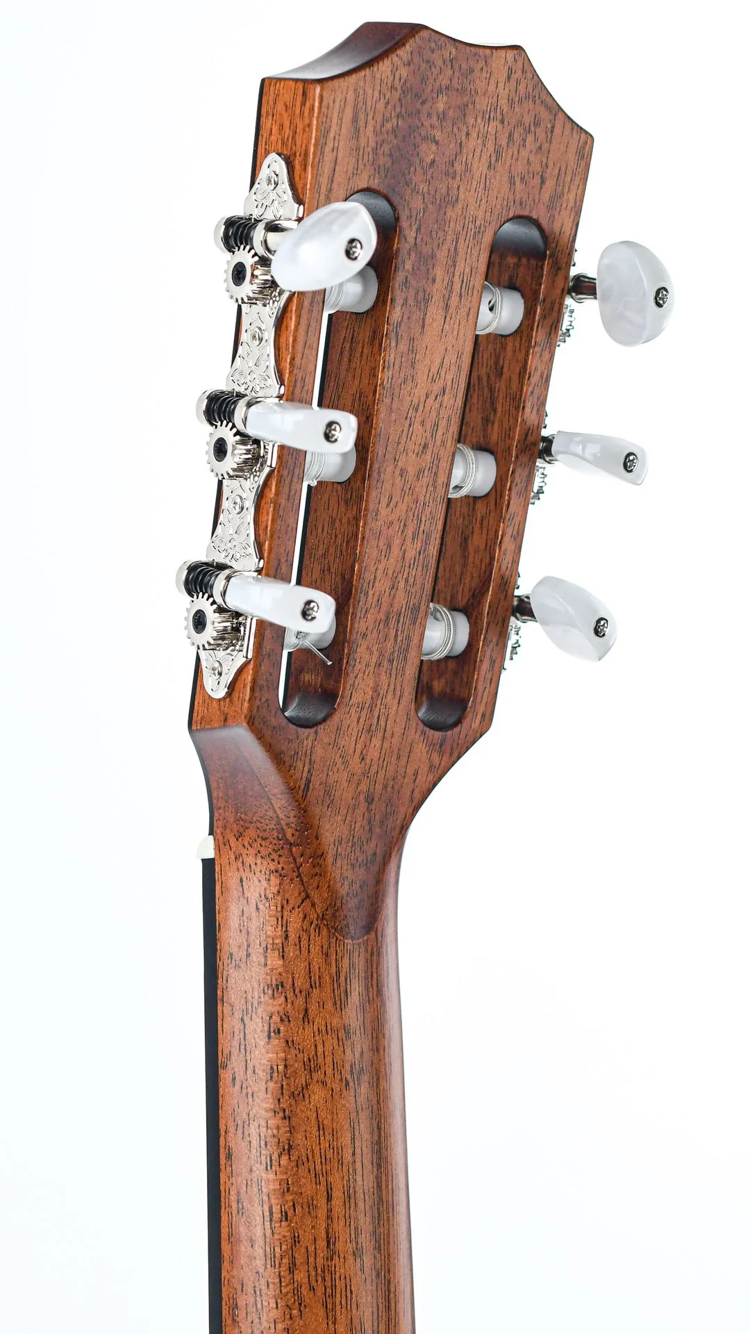Taylor 312ce-N 12 Fret Sapele - Image 6