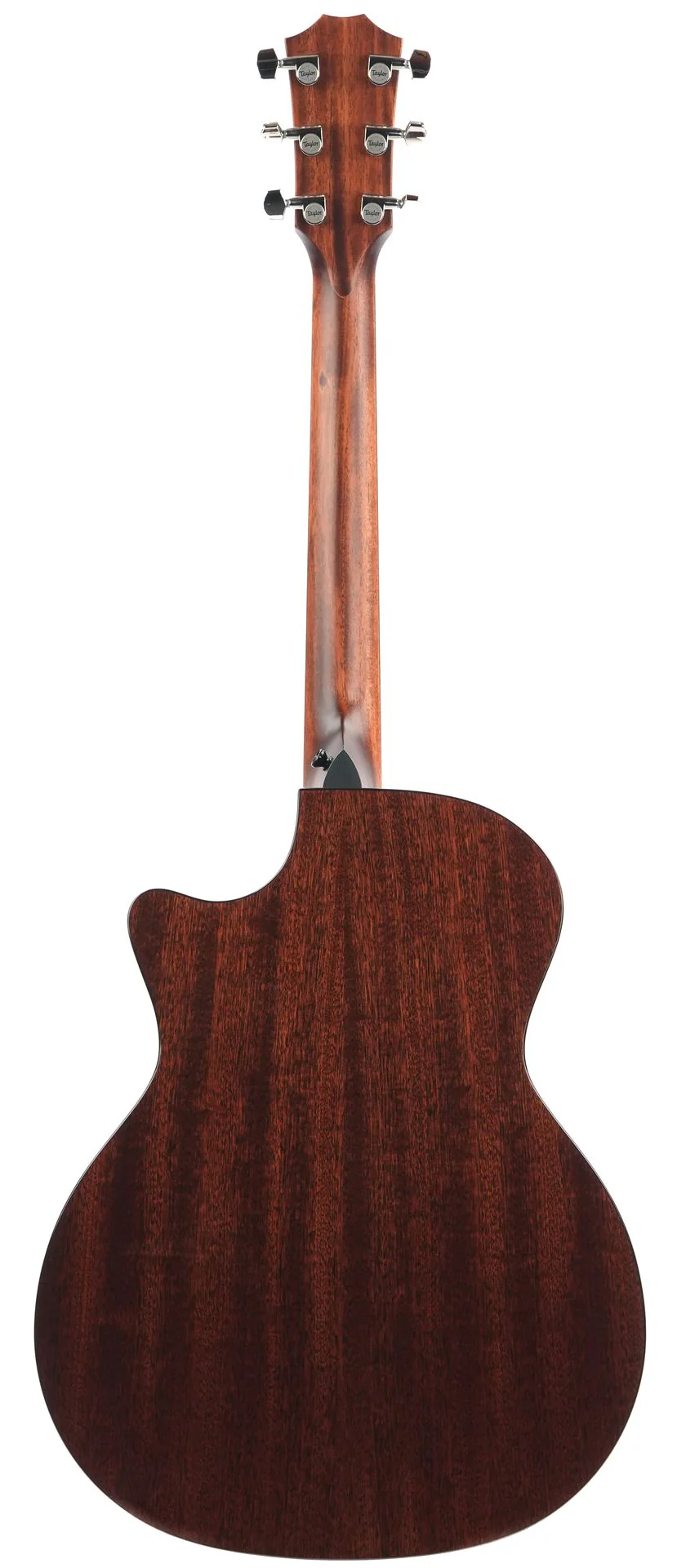 Taylor 314ce Next Generation - Image 4