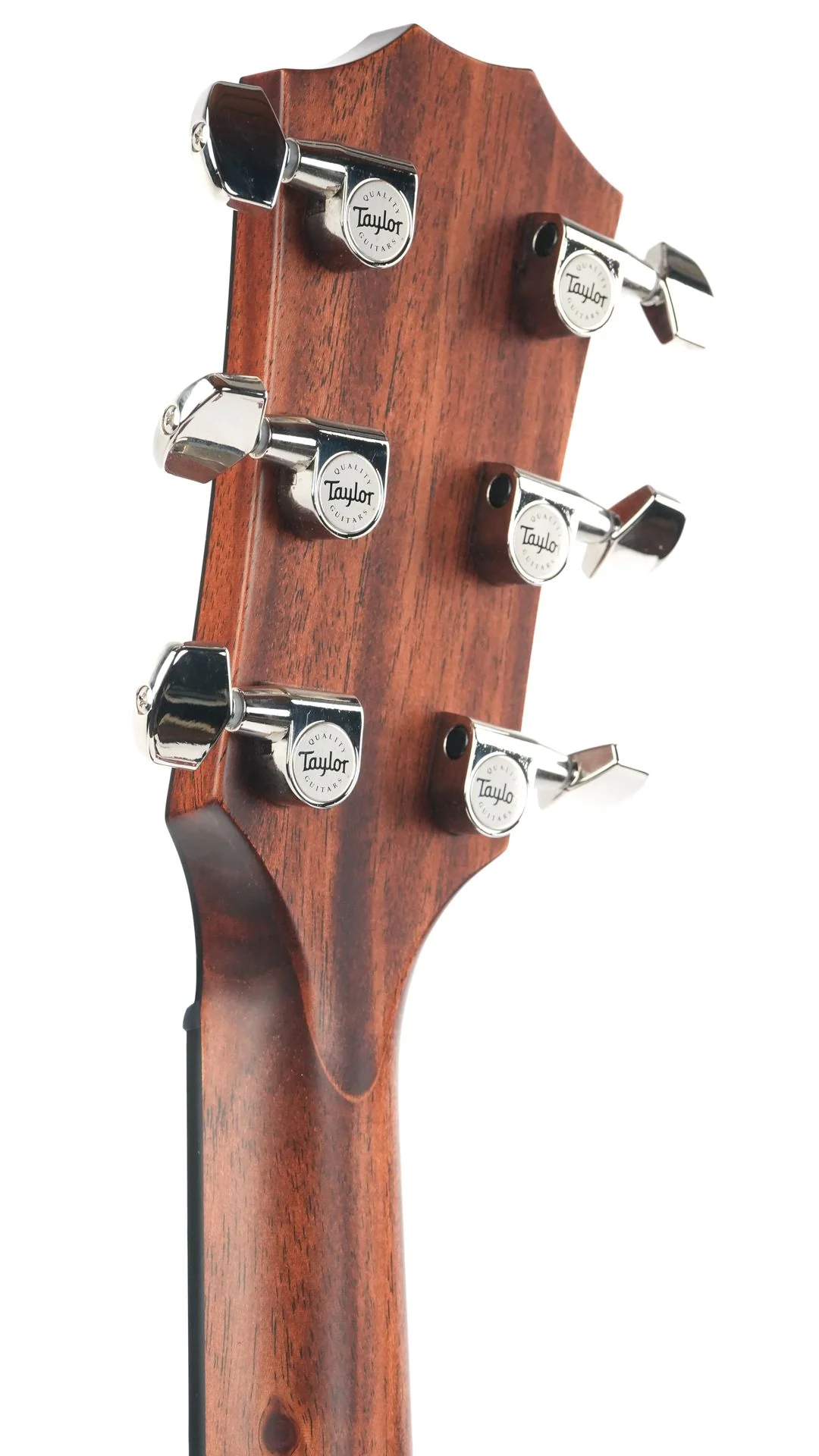 Taylor 314ce Next Generation - Image 6