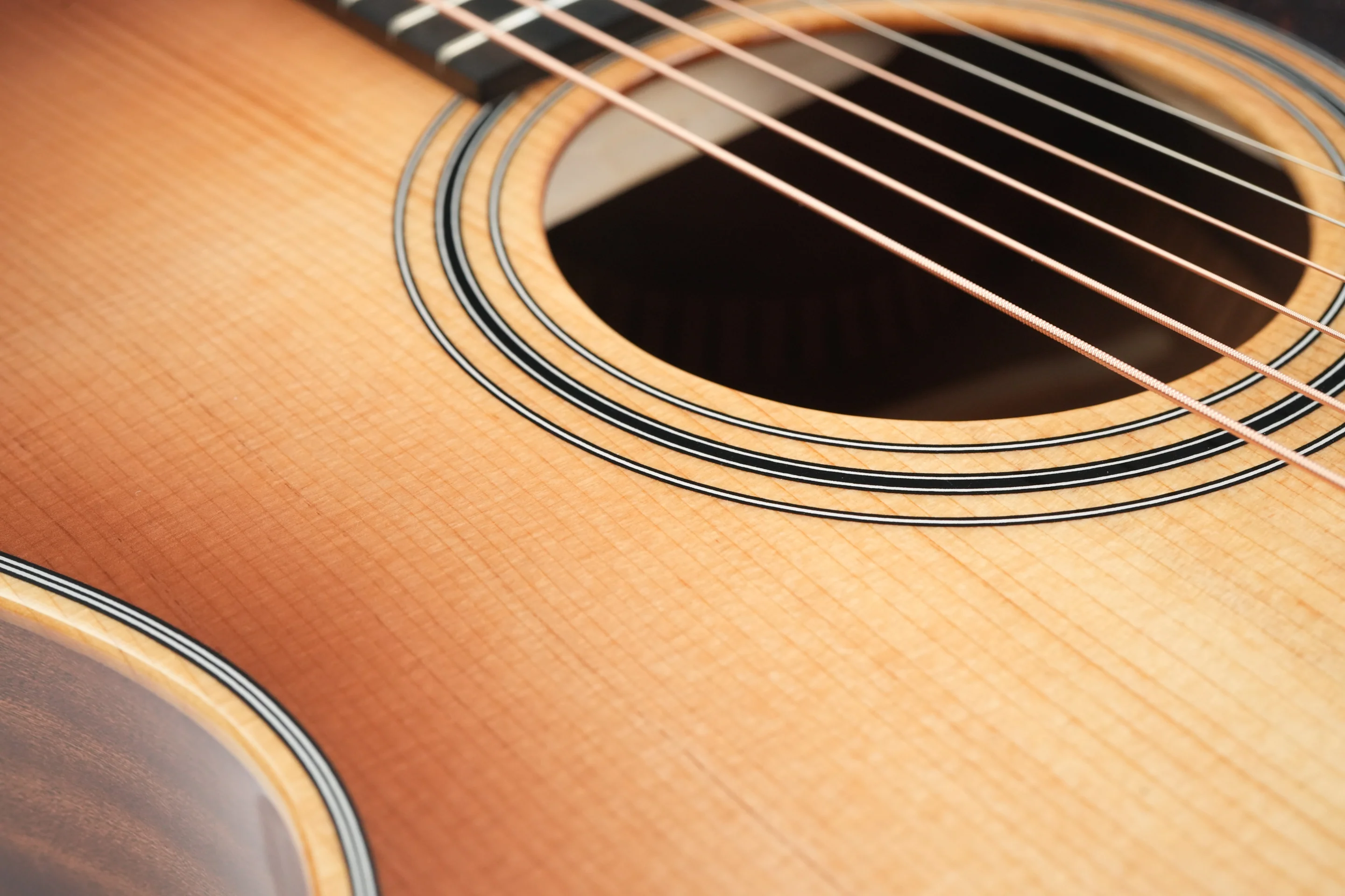 Taylor 314ce Studio Shaded Edgeburst B-Stock - Image 11