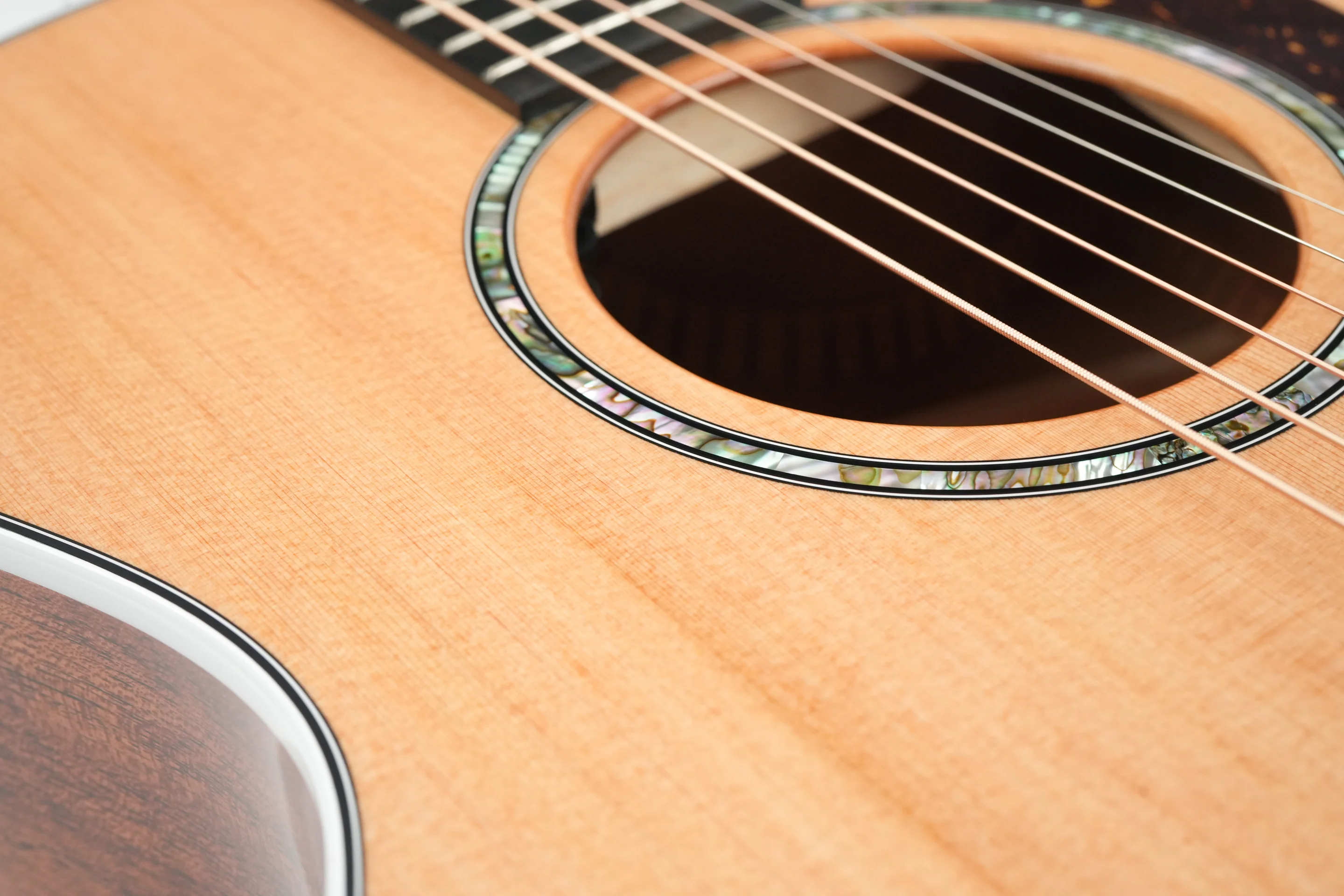 Taylor 514ce Next Generation - Image 11