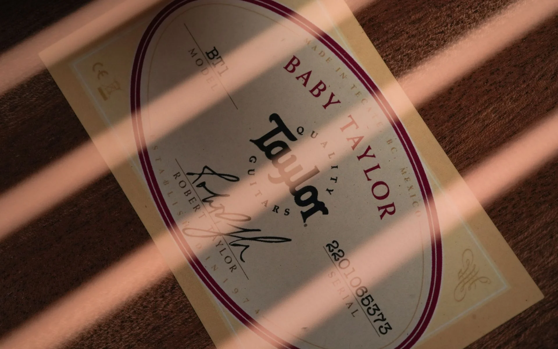 Taylor Baby BT1 Walnut Lefty - Image 10