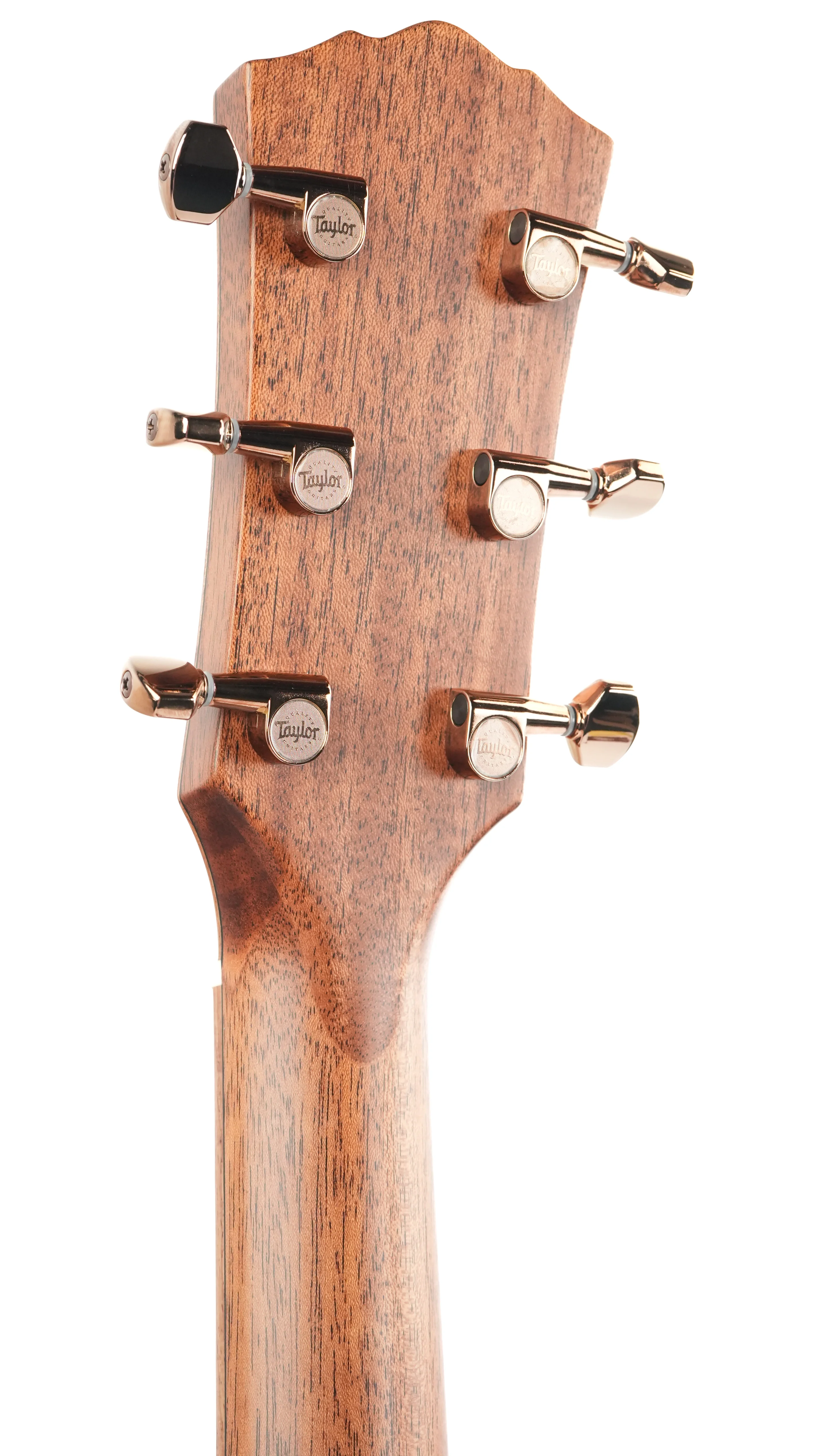 Taylor Ben Harper Gold Label 512e - Image 6
