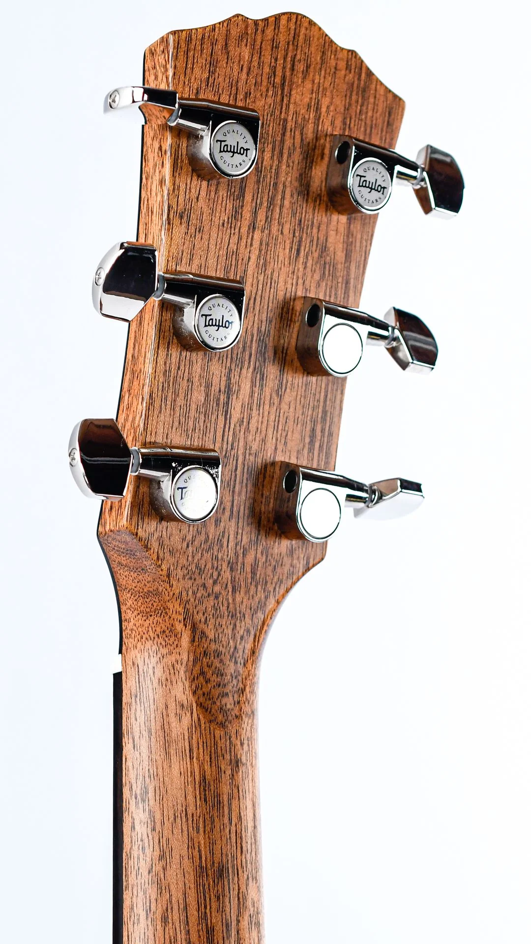 Taylor Gold Label 517e Mahogany Blacktop - Image 6